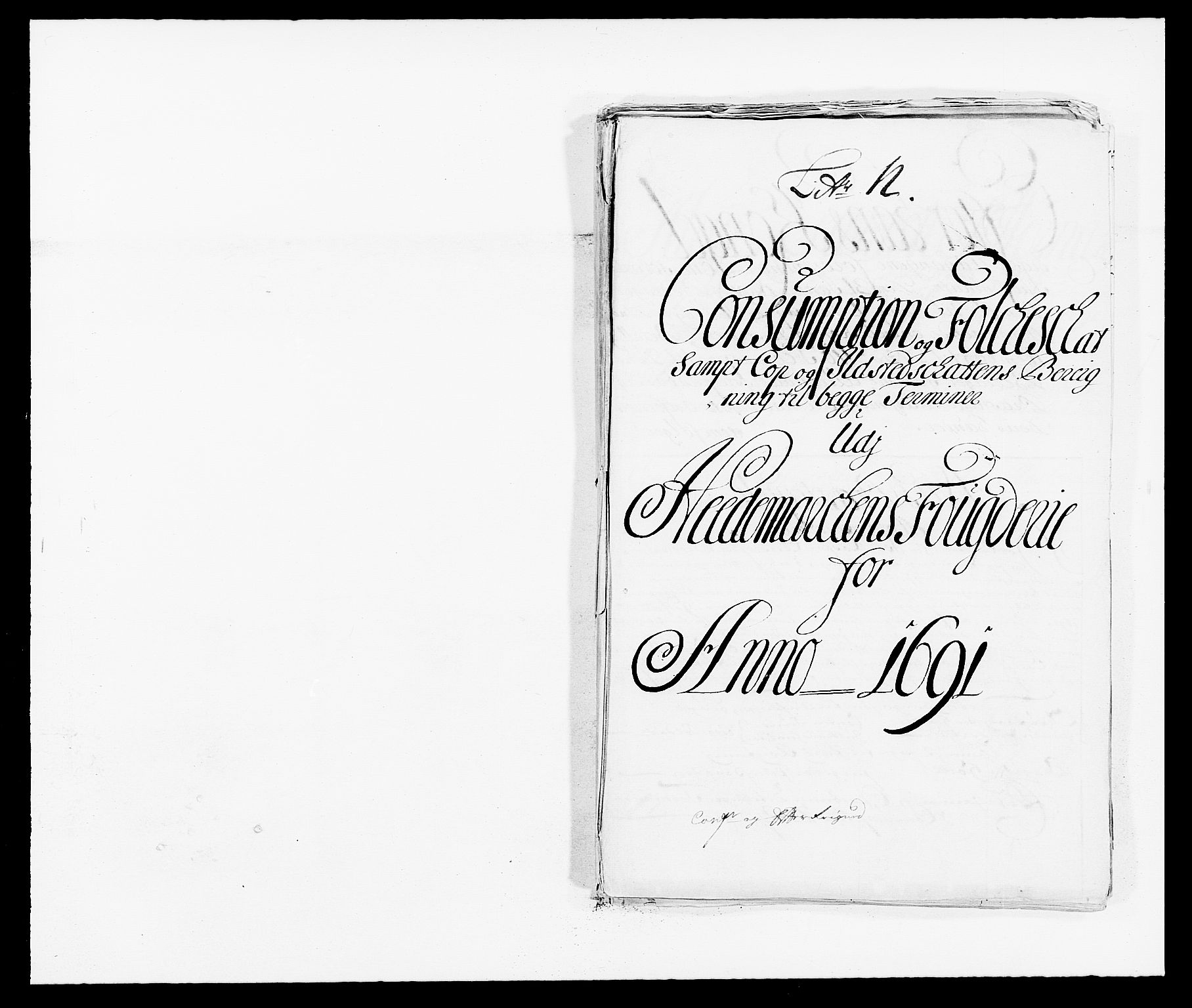 Rentekammeret inntil 1814, Reviderte regnskaper, Fogderegnskap, RA/EA-4092/R16/L1030: Fogderegnskap Hedmark, 1689-1691, p. 374