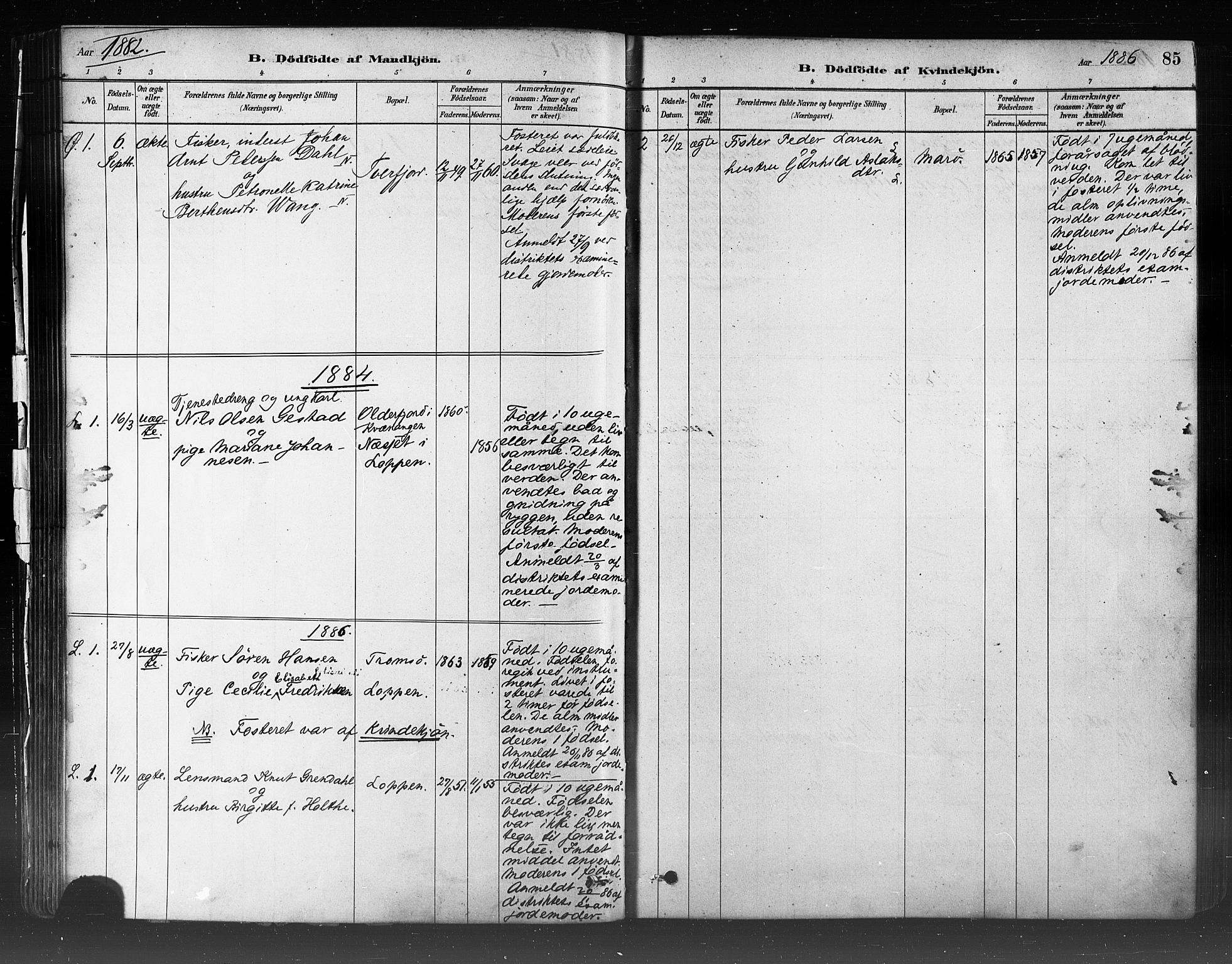 Loppa sokneprestkontor, SATØ/S-1339/H/Ha/L0006kirke: Parish register (official) no. 6, 1879-1895, p. 85