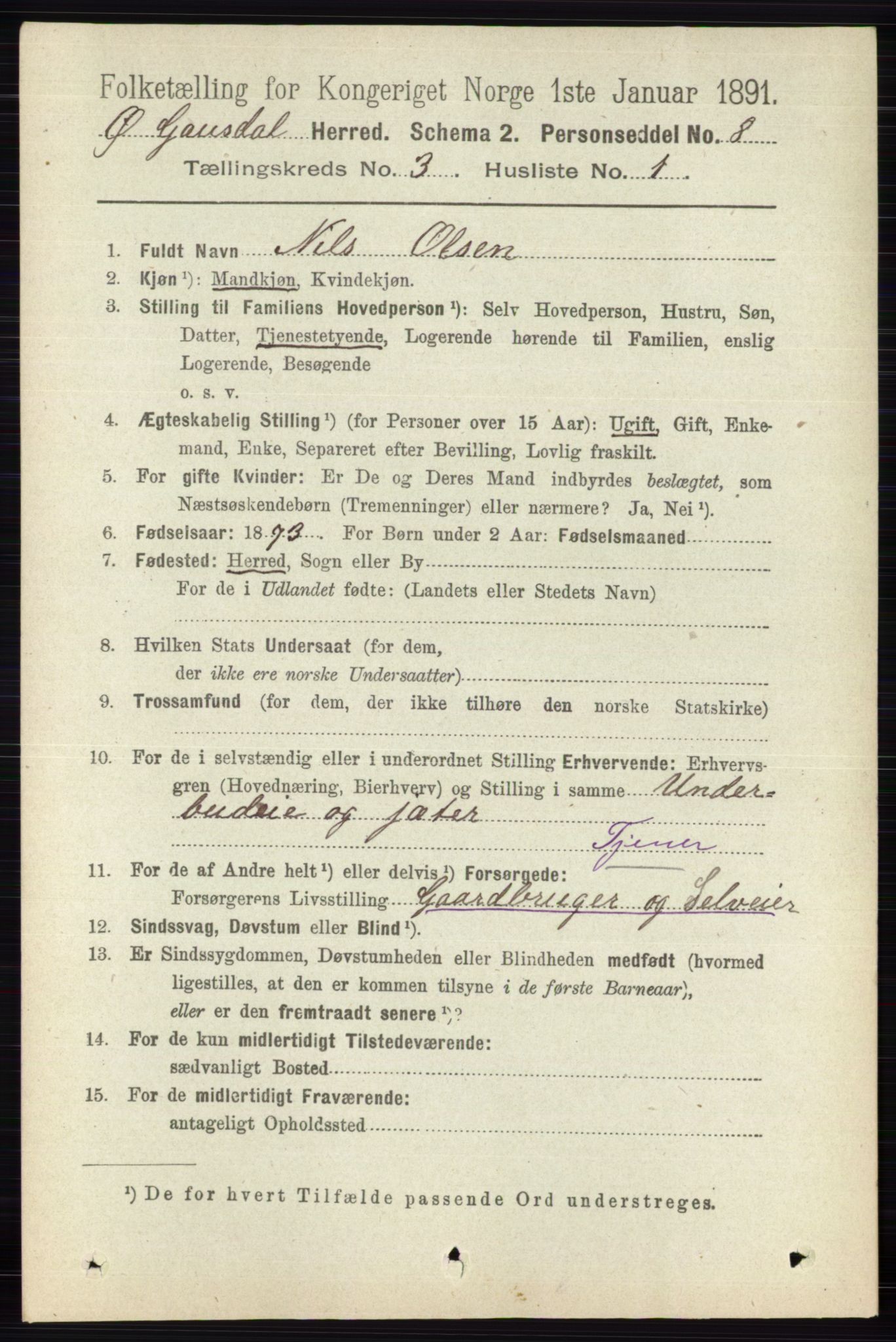 RA, 1891 census for 0522 Østre Gausdal, 1891, p. 1711