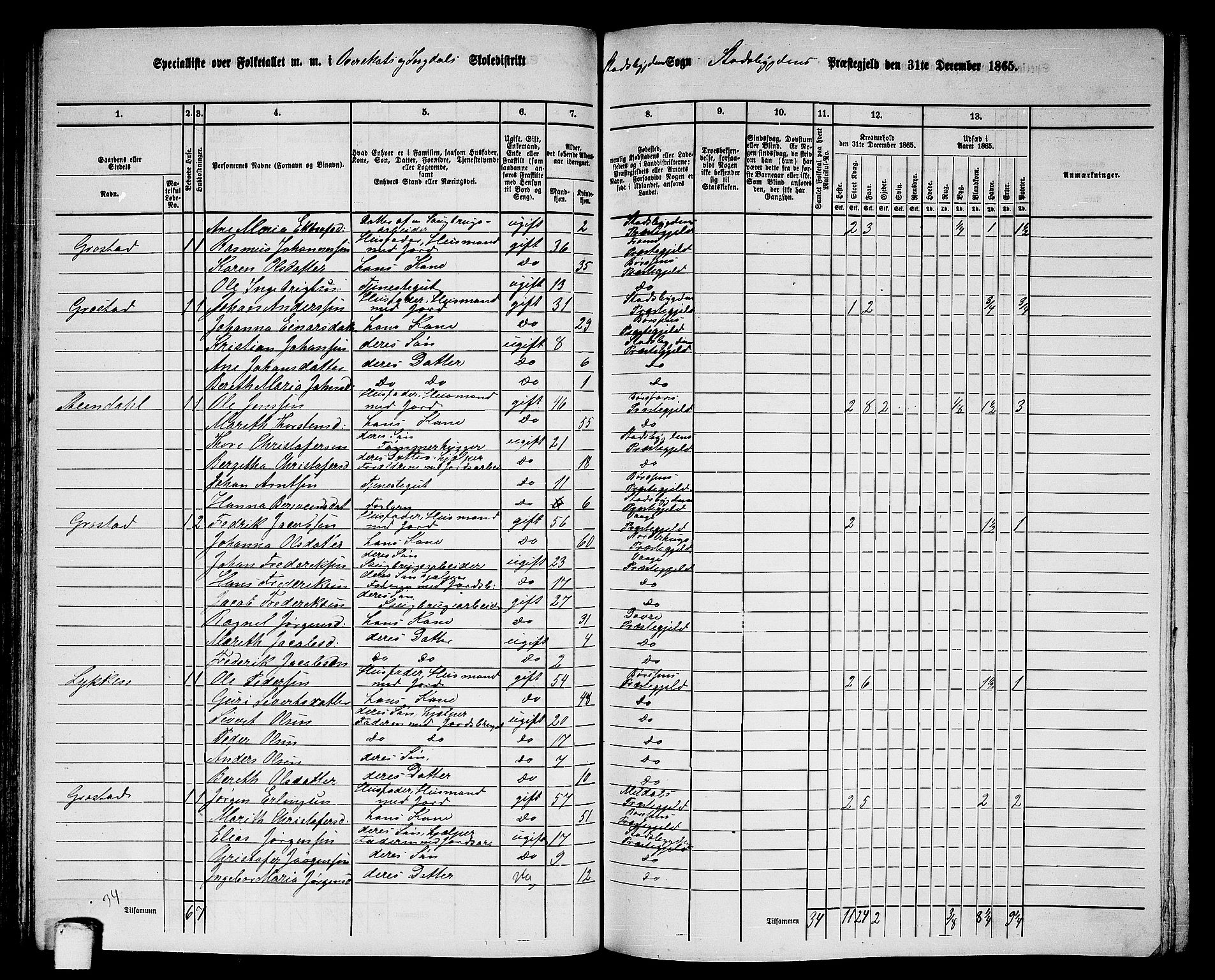 RA, 1865 census for Stadsbygd, 1865, p. 73