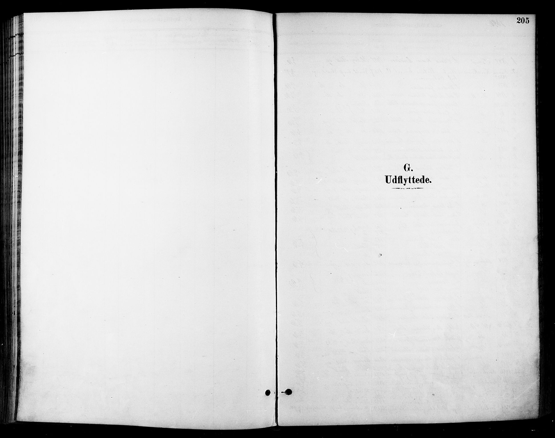 Halden prestekontor Kirkebøker, SAO/A-10909/F/Fa/L0014: Parish register (official) no. I 14, 1890-1906, p. 205