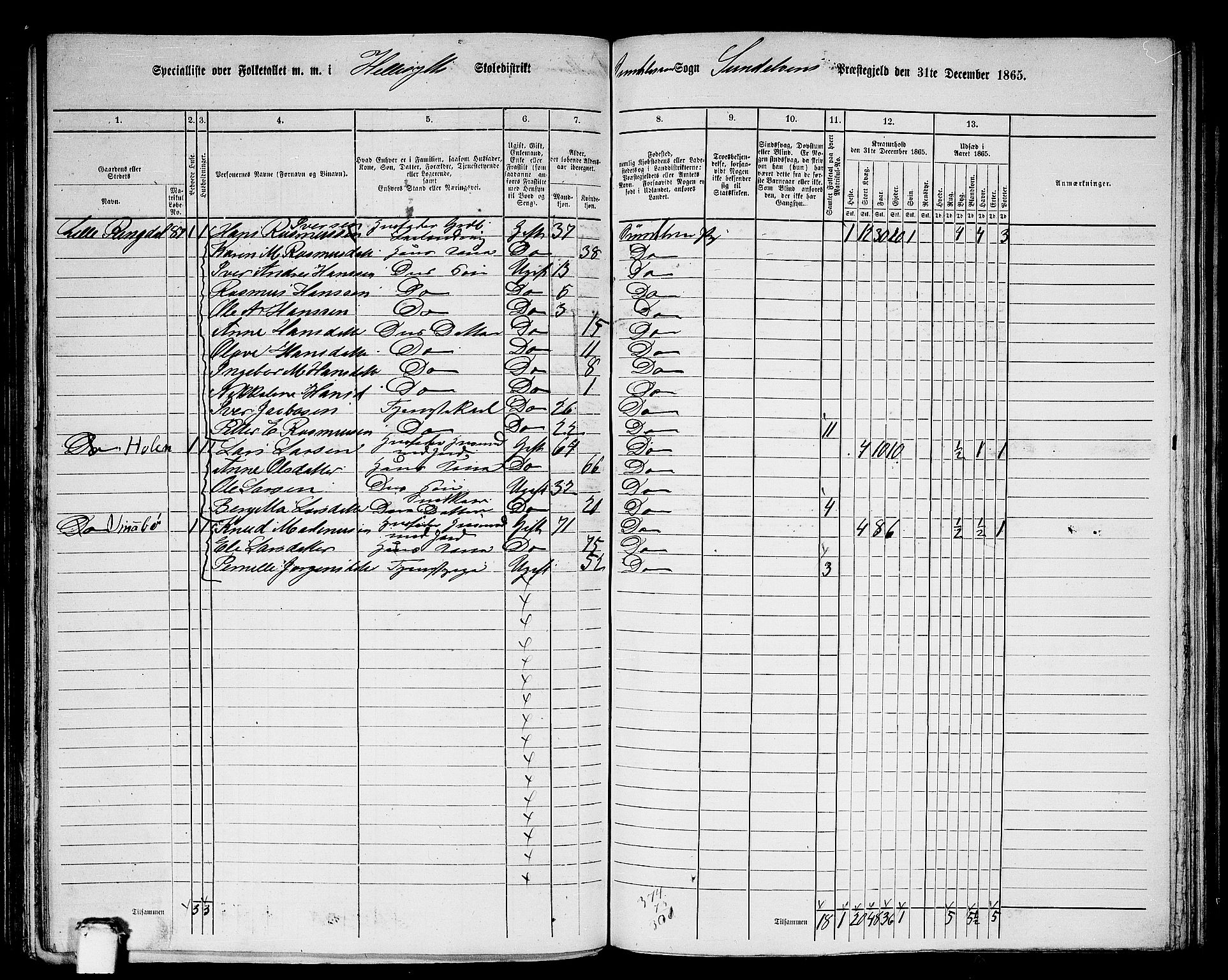 RA, 1865 census for Sunnylven, 1865, p. 17