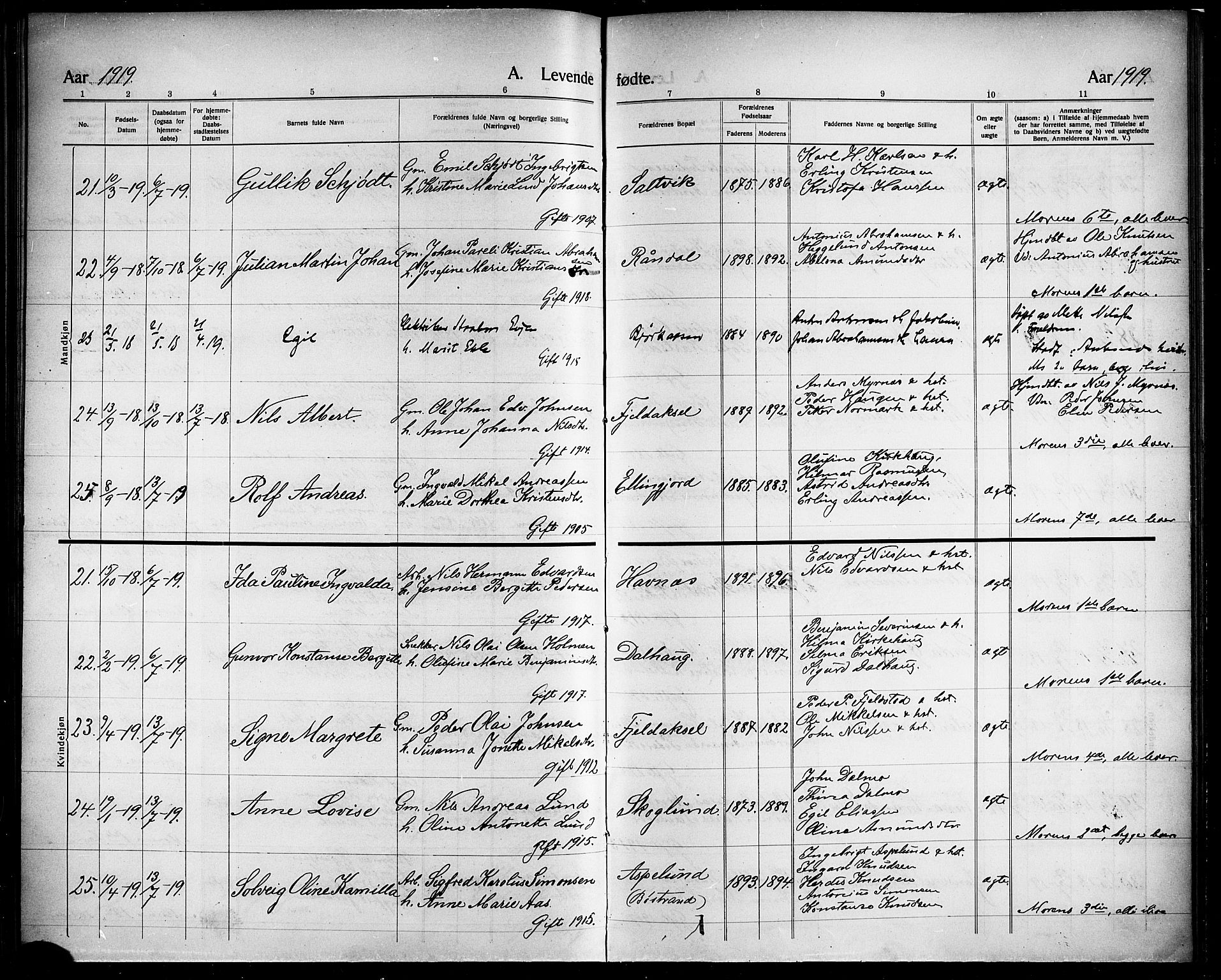 Ministerialprotokoller, klokkerbøker og fødselsregistre - Nordland, AV/SAT-A-1459/863/L0916: Parish register (copy) no. 863C06, 1907-1921