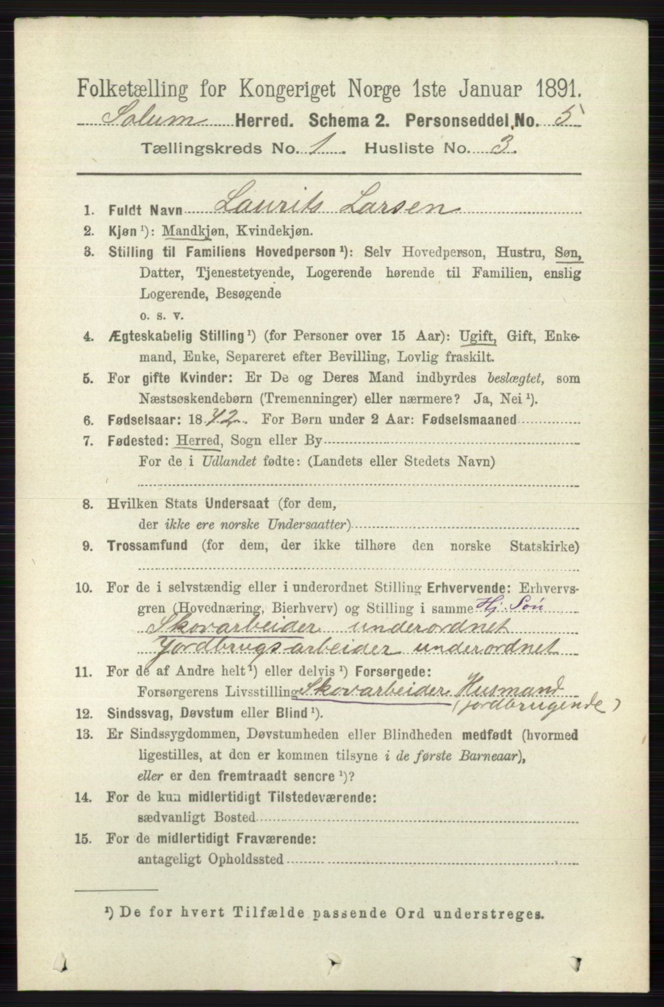 RA, 1891 census for 0818 Solum, 1891, p. 61