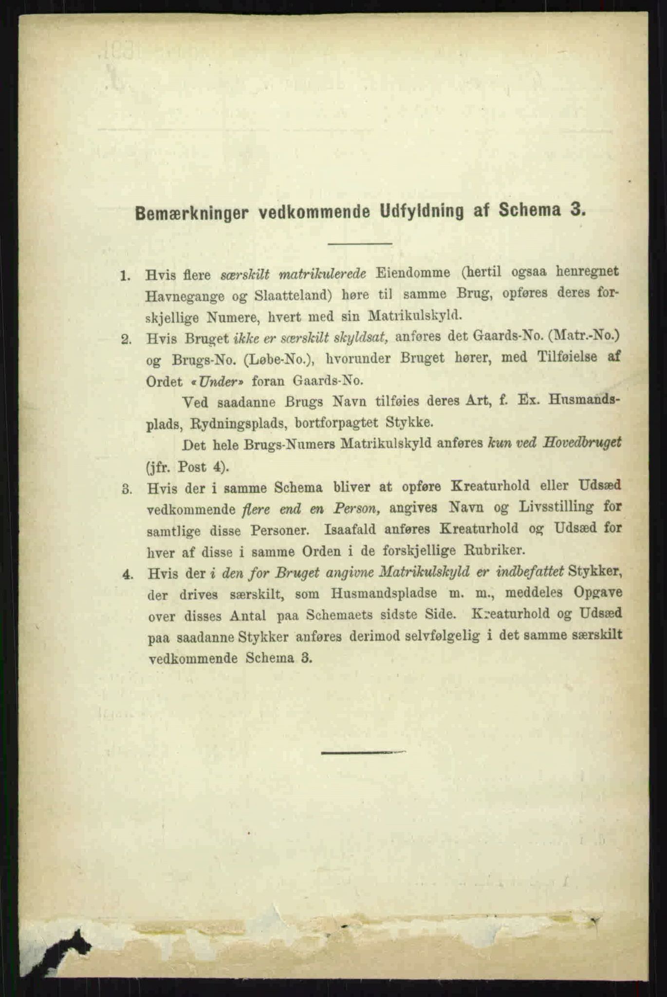 RA, 1891 census for 0134 Onsøy, 1891, p. 5058