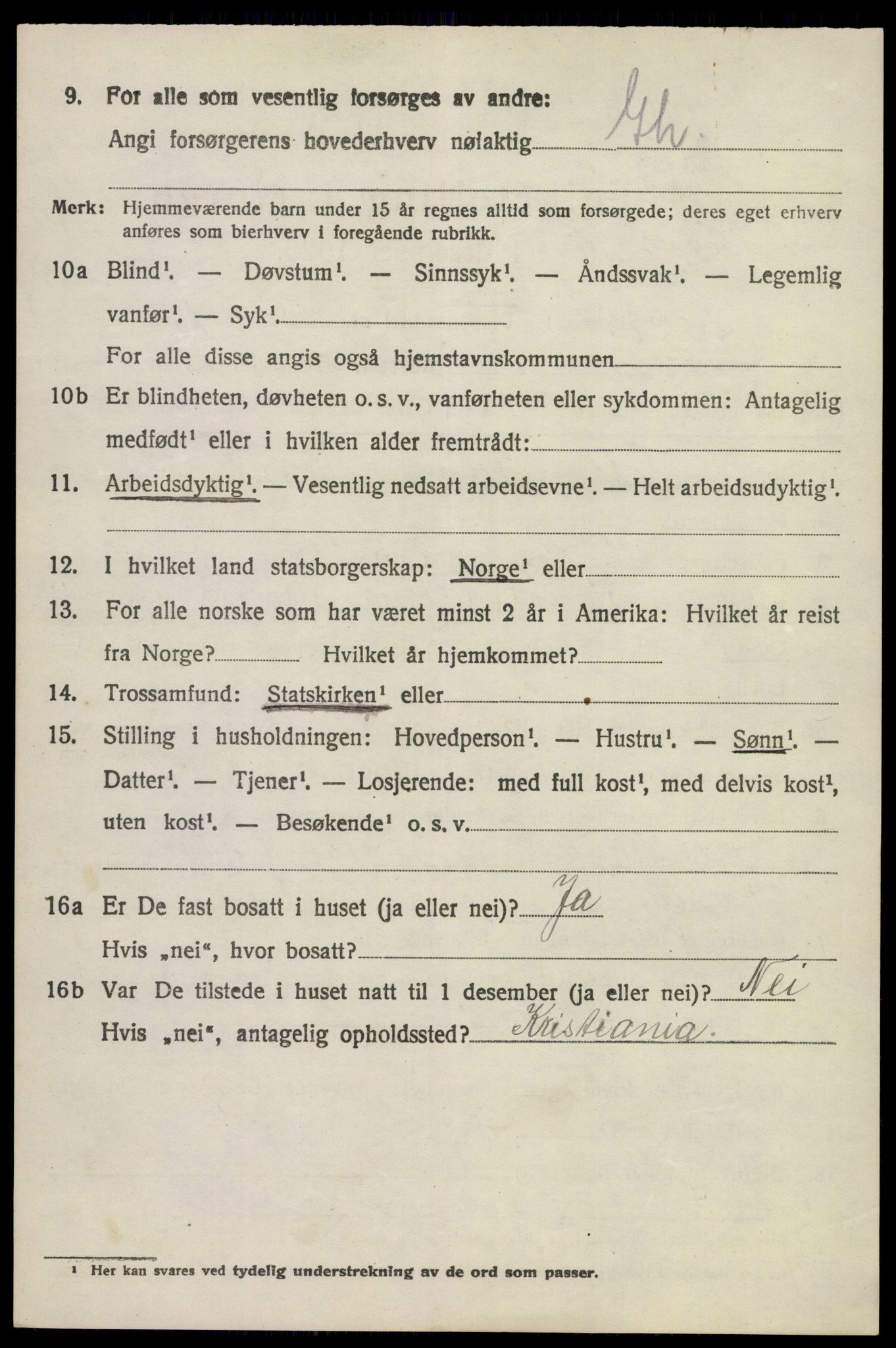 SAKO, 1920 census for Brunlanes, 1920, p. 4484