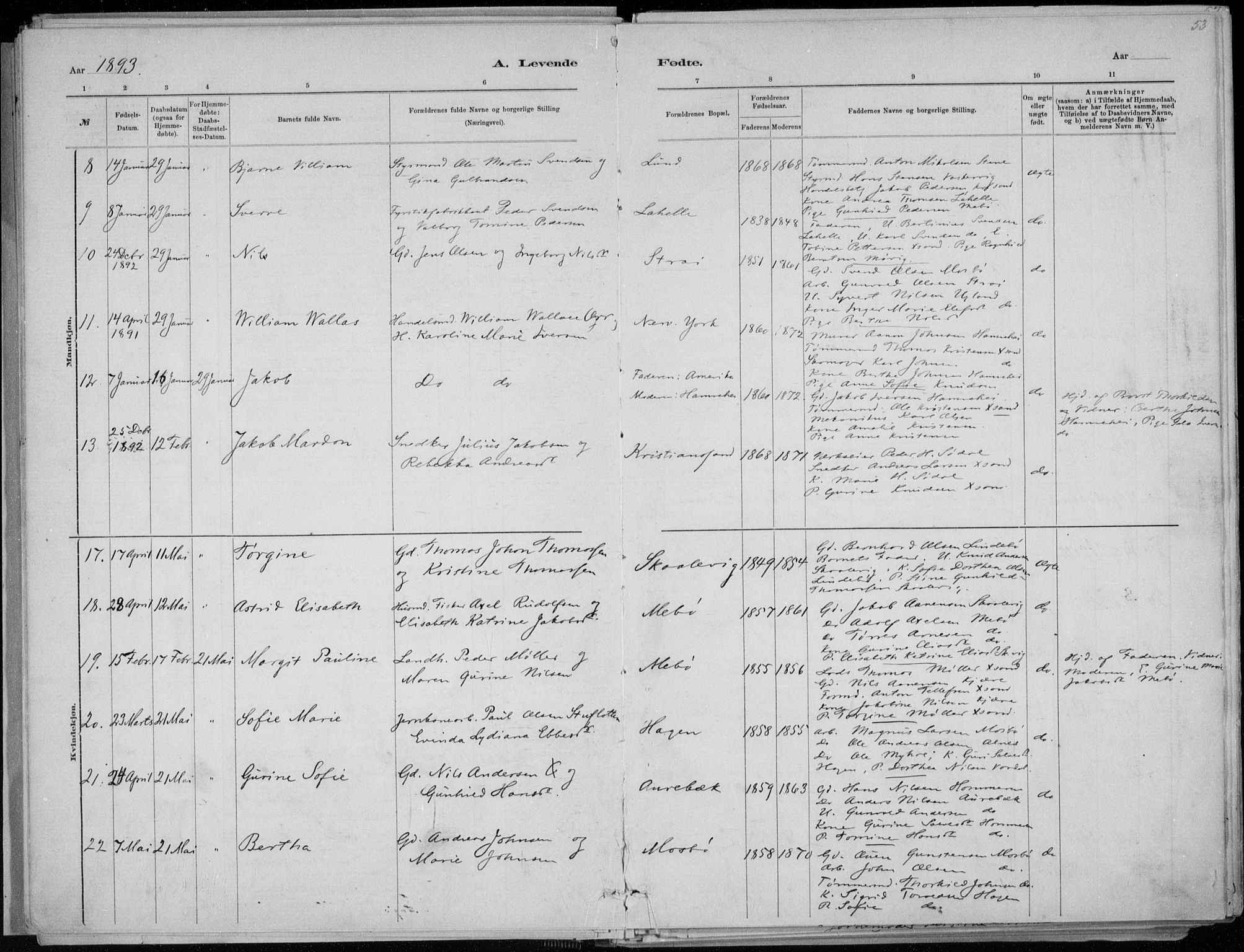 Oddernes sokneprestkontor, SAK/1111-0033/F/Fa/Faa/L0009: Parish register (official) no. A 9, 1884-1896, p. 53