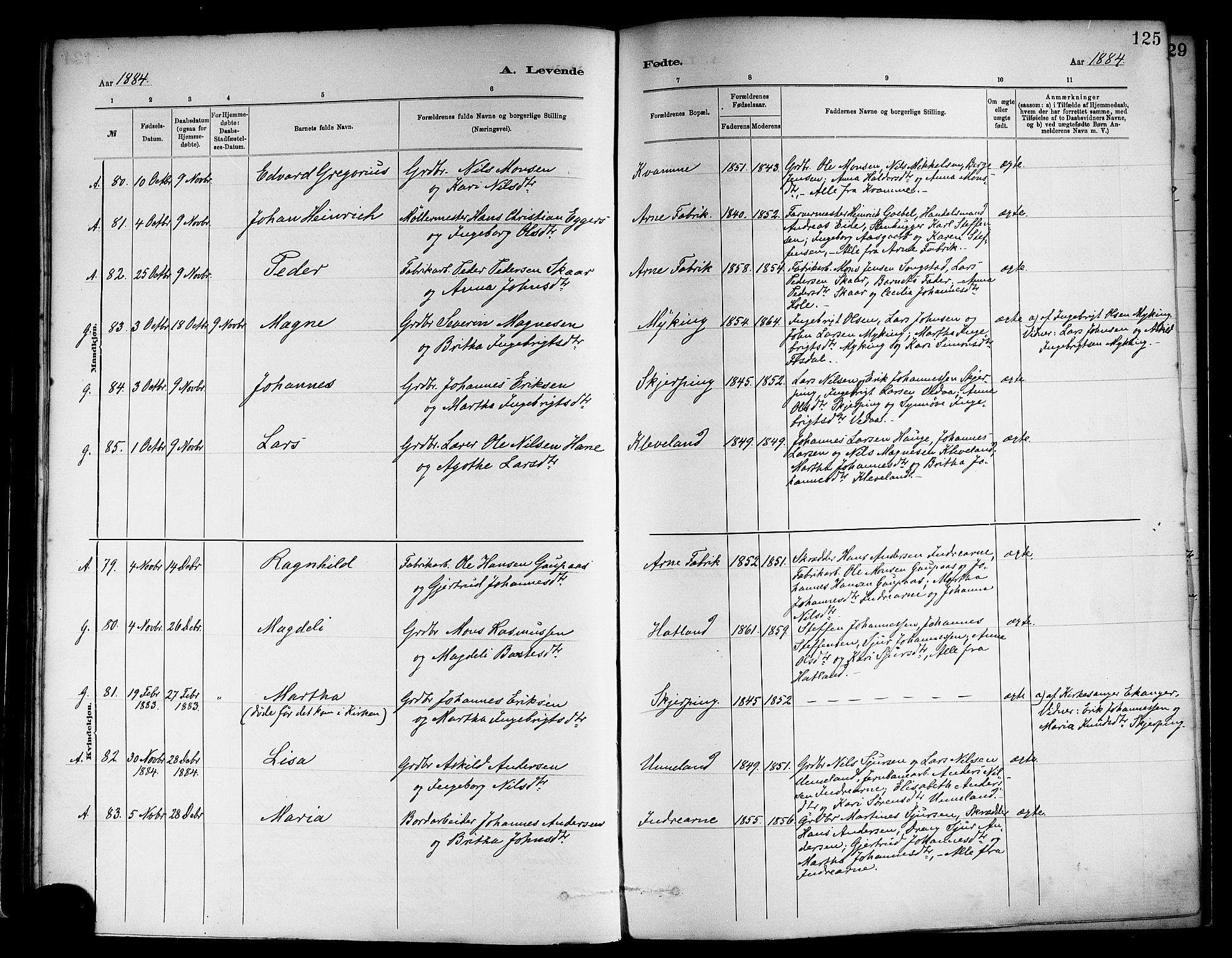 Haus sokneprestembete, SAB/A-75601/H/Haa: Parish register (official) no. A 19I, 1878-1886, p. 125