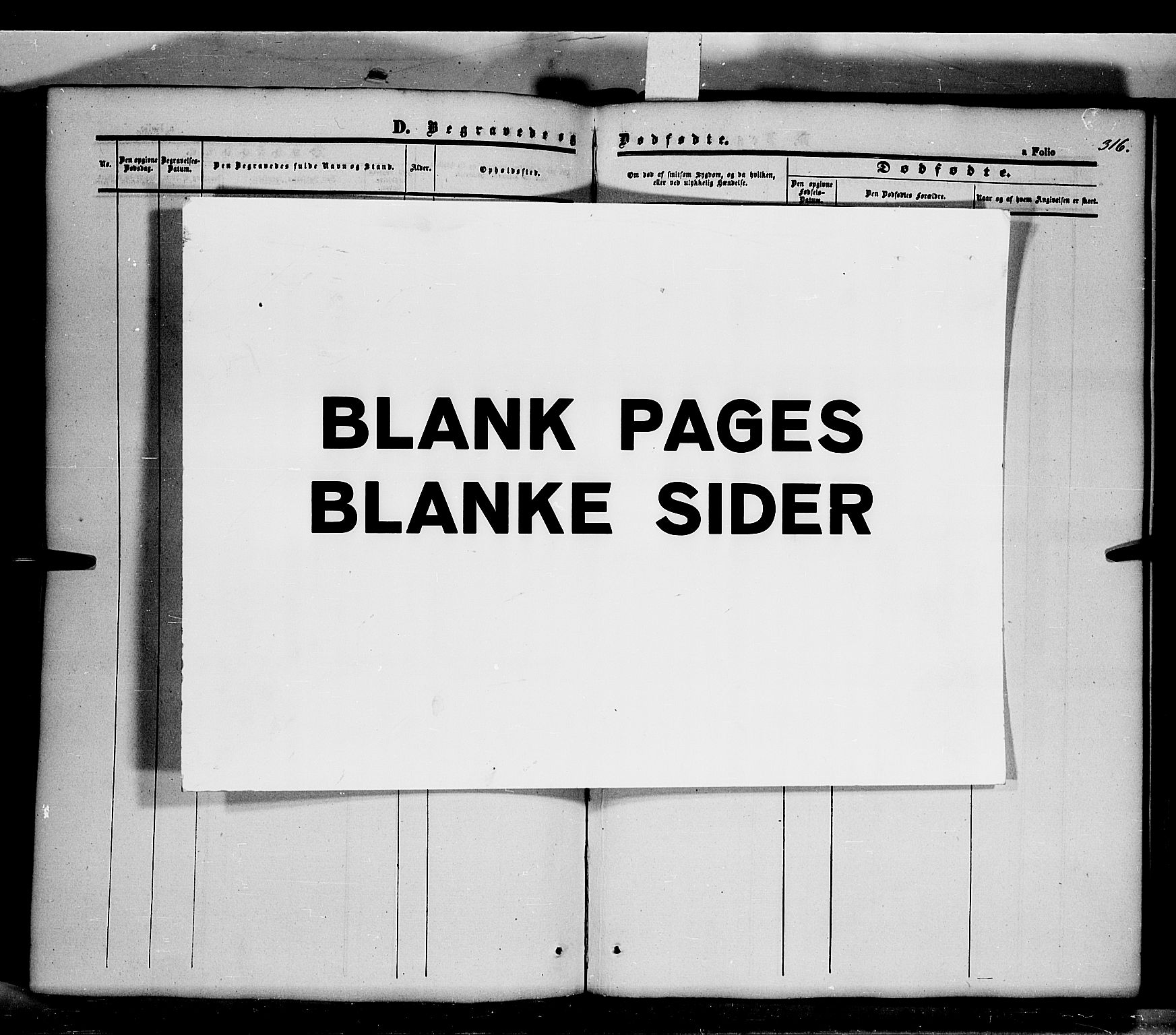 Våler prestekontor, Hedmark, AV/SAH-PREST-040/H/Ha/Haa/L0001: Parish register (official) no. 1, 1849-1878, p. 316