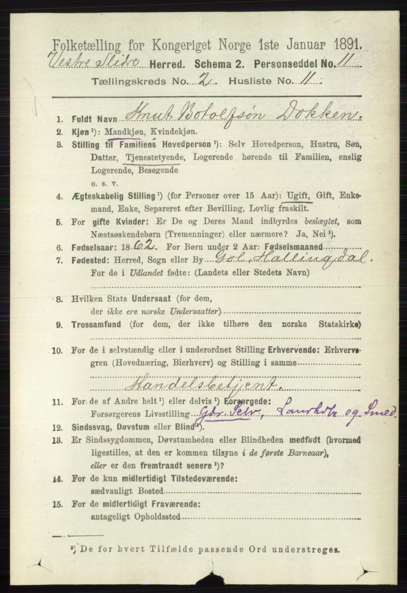 RA, 1891 census for 0543 Vestre Slidre, 1891, p. 595