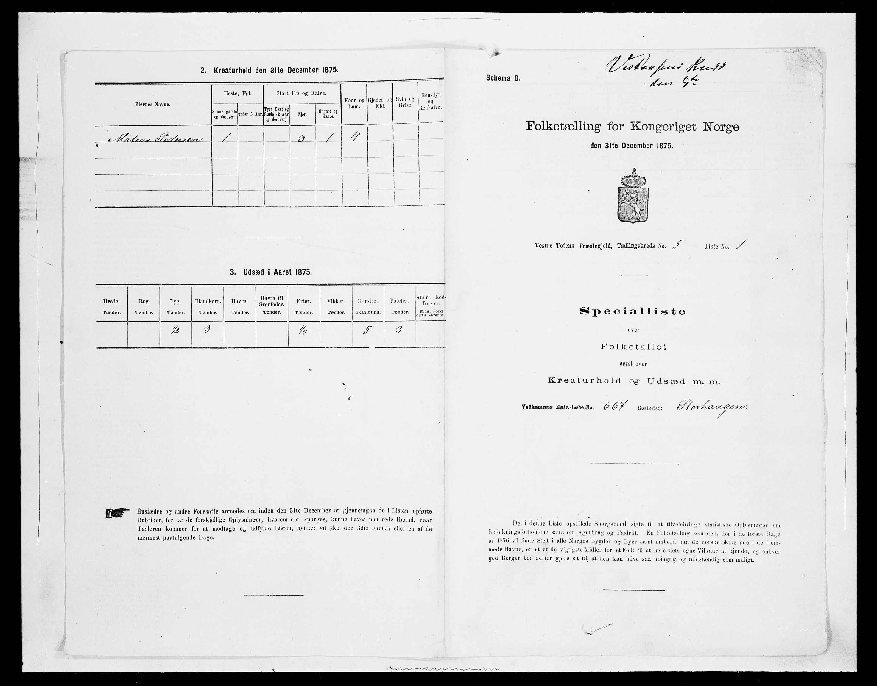 SAH, 1875 census for 0529P Vestre Toten, 1875, p. 907