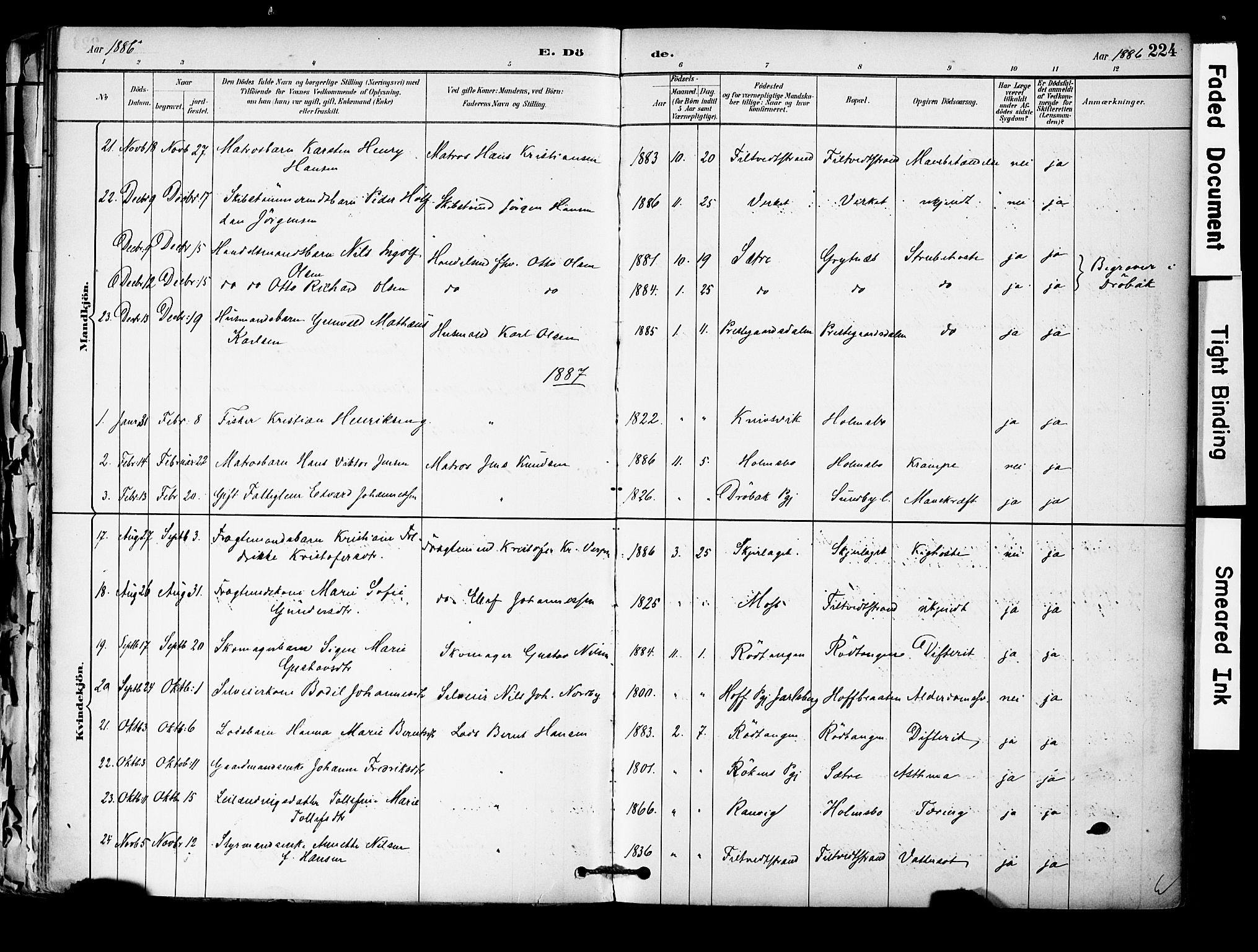 Hurum kirkebøker, SAKO/A-229/F/Fa/L0014: Parish register (official) no. 14, 1882-1895, p. 224