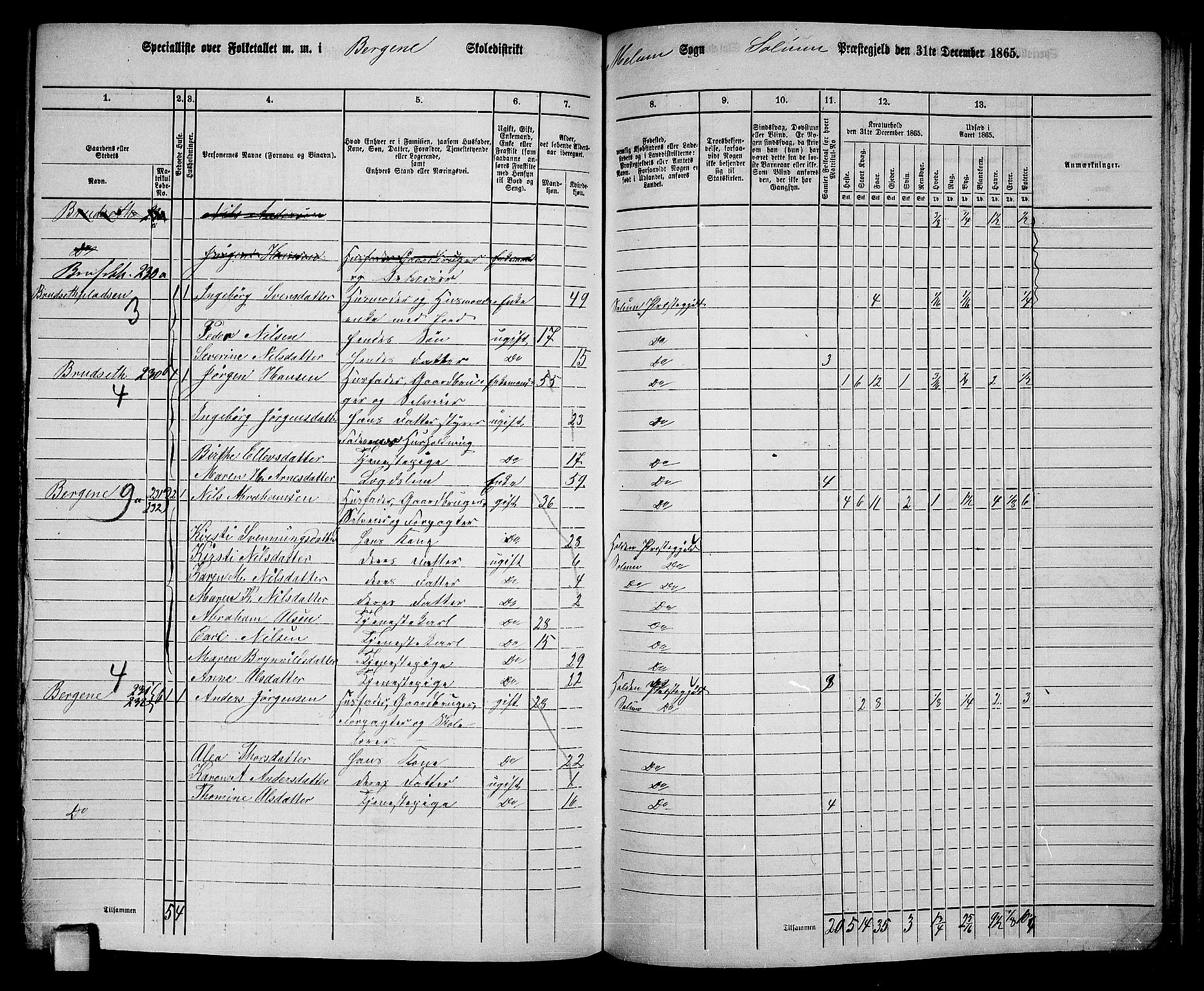 RA, 1865 census for Solum, 1865, p. 185