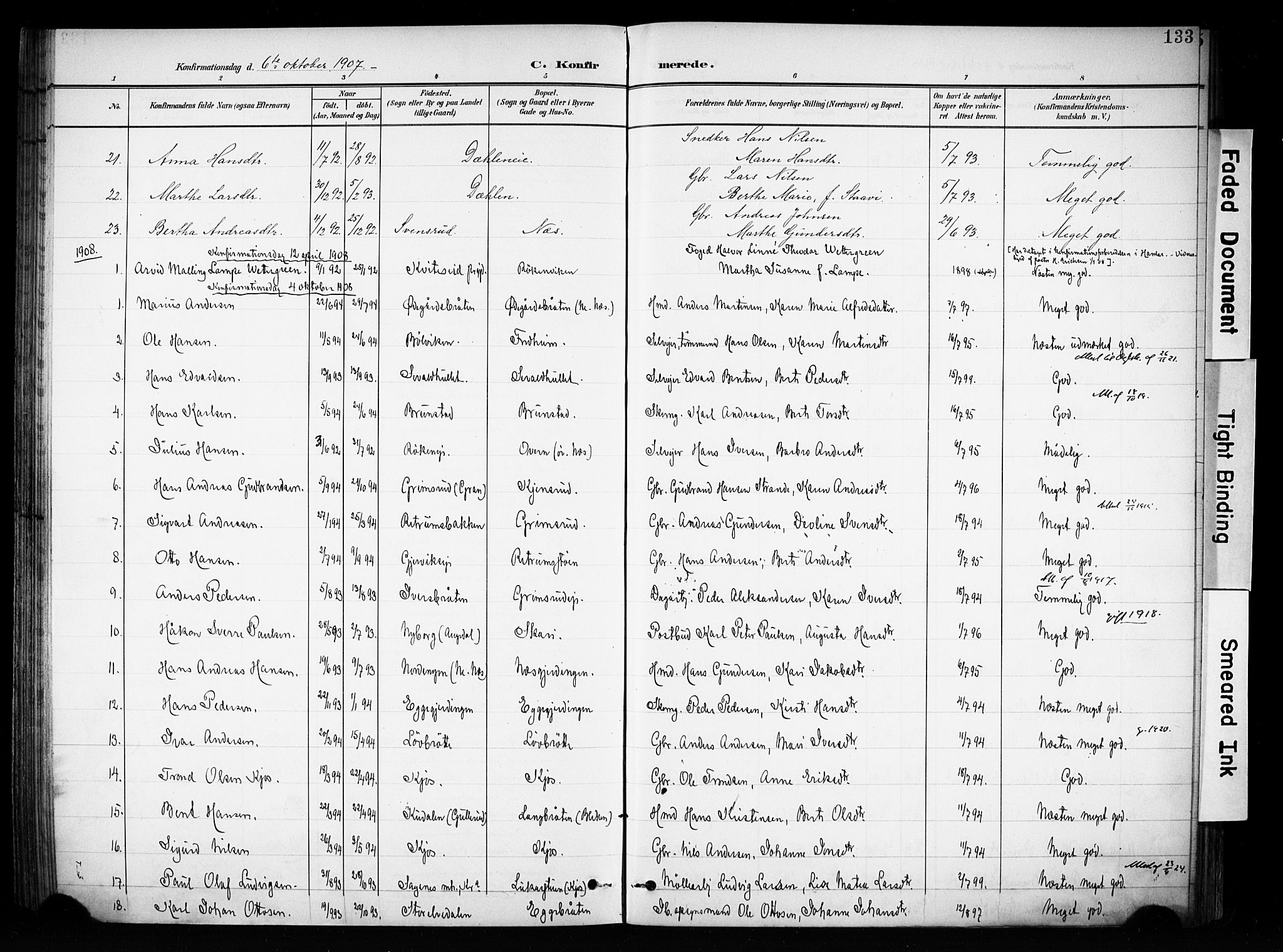 Brandbu prestekontor, SAH/PREST-114/H/Ha/Haa/L0001: Parish register (official) no. 1, 1900-1912, p. 133