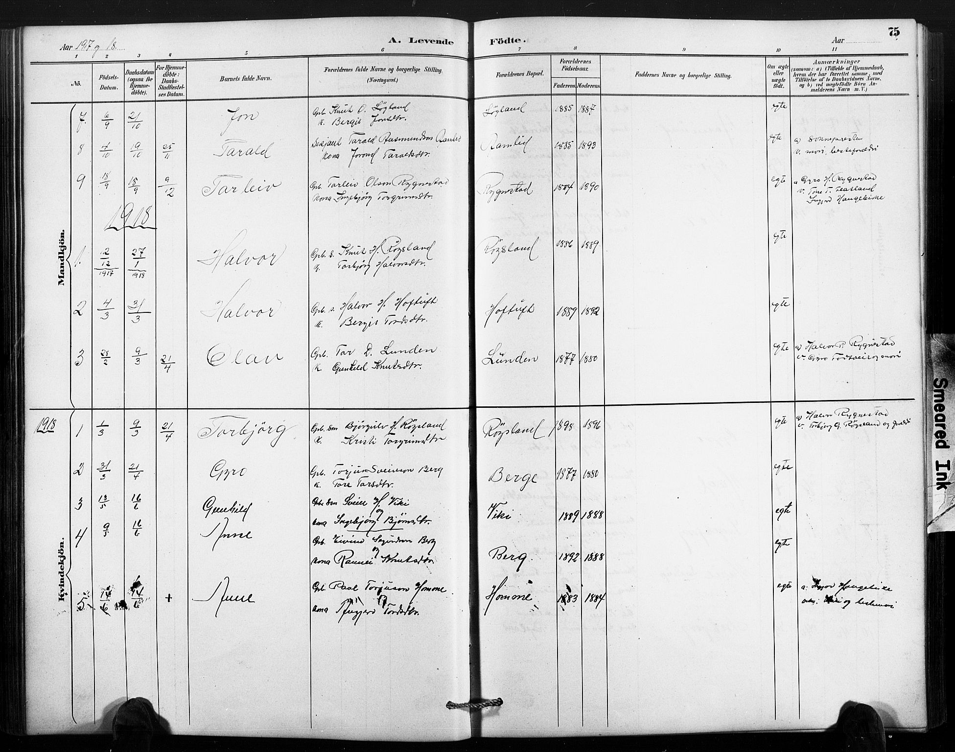 Valle sokneprestkontor, AV/SAK-1111-0044/F/Fb/Fbc/L0004: Parish register (copy) no. B 4, 1890-1928, p. 75