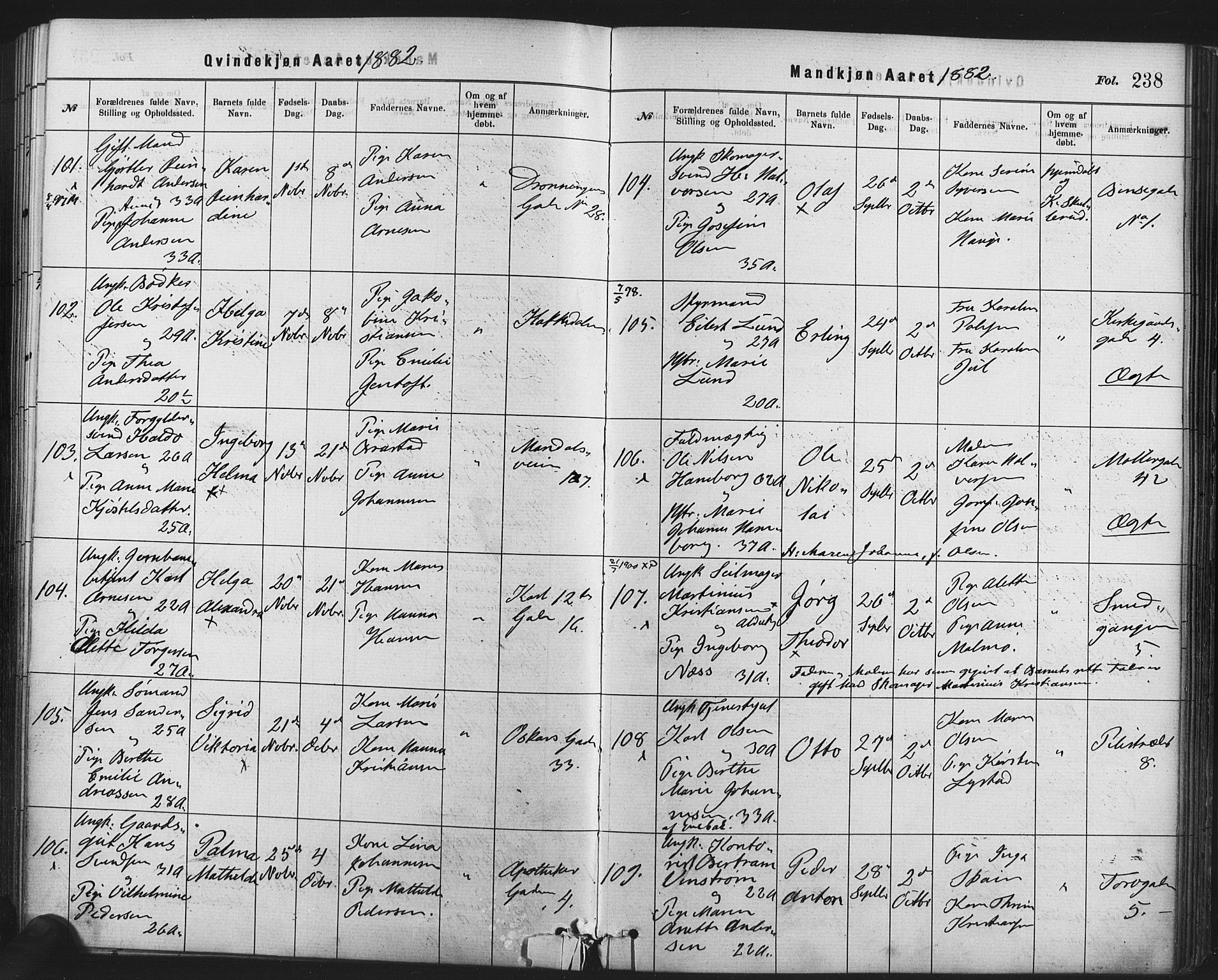Rikshospitalet prestekontor Kirkebøker, AV/SAO-A-10309b/F/L0006: Parish register (official) no. 6, 1871-1885, p. 238