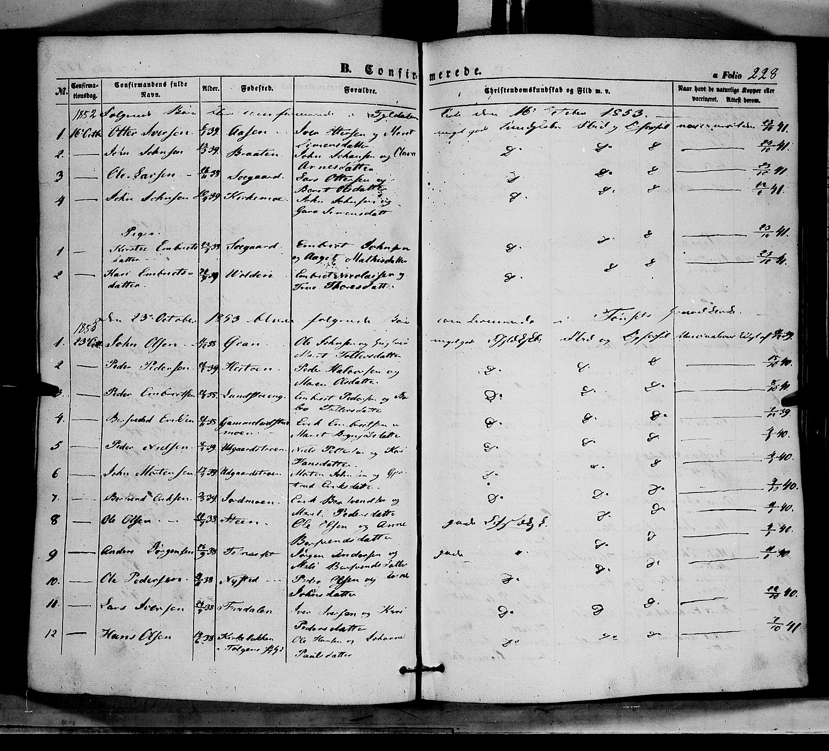 Tynset prestekontor, AV/SAH-PREST-058/H/Ha/Haa/L0020: Parish register (official) no. 20, 1848-1862, p. 228