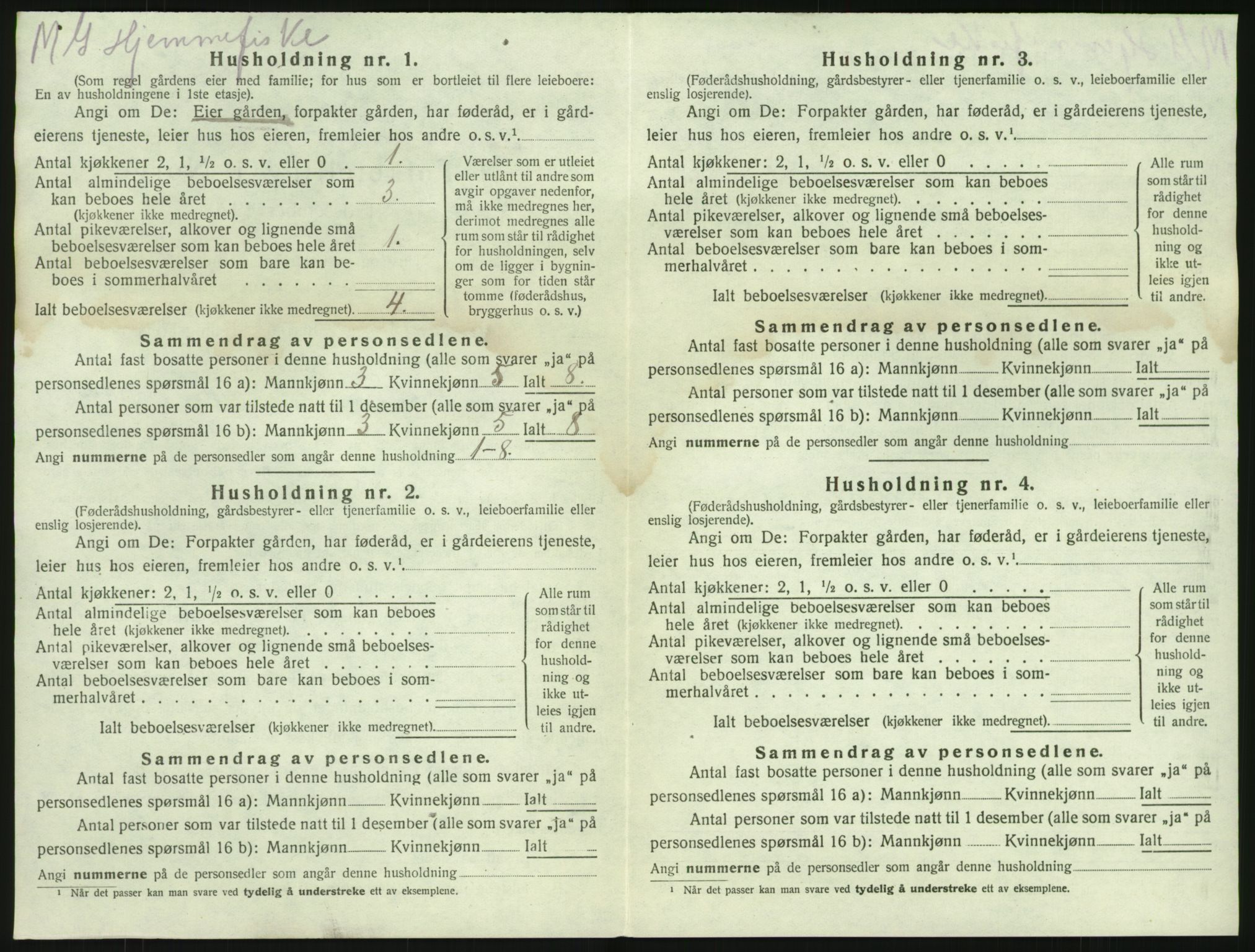 SAKO, 1920 census for Brunlanes, 1920, p. 480