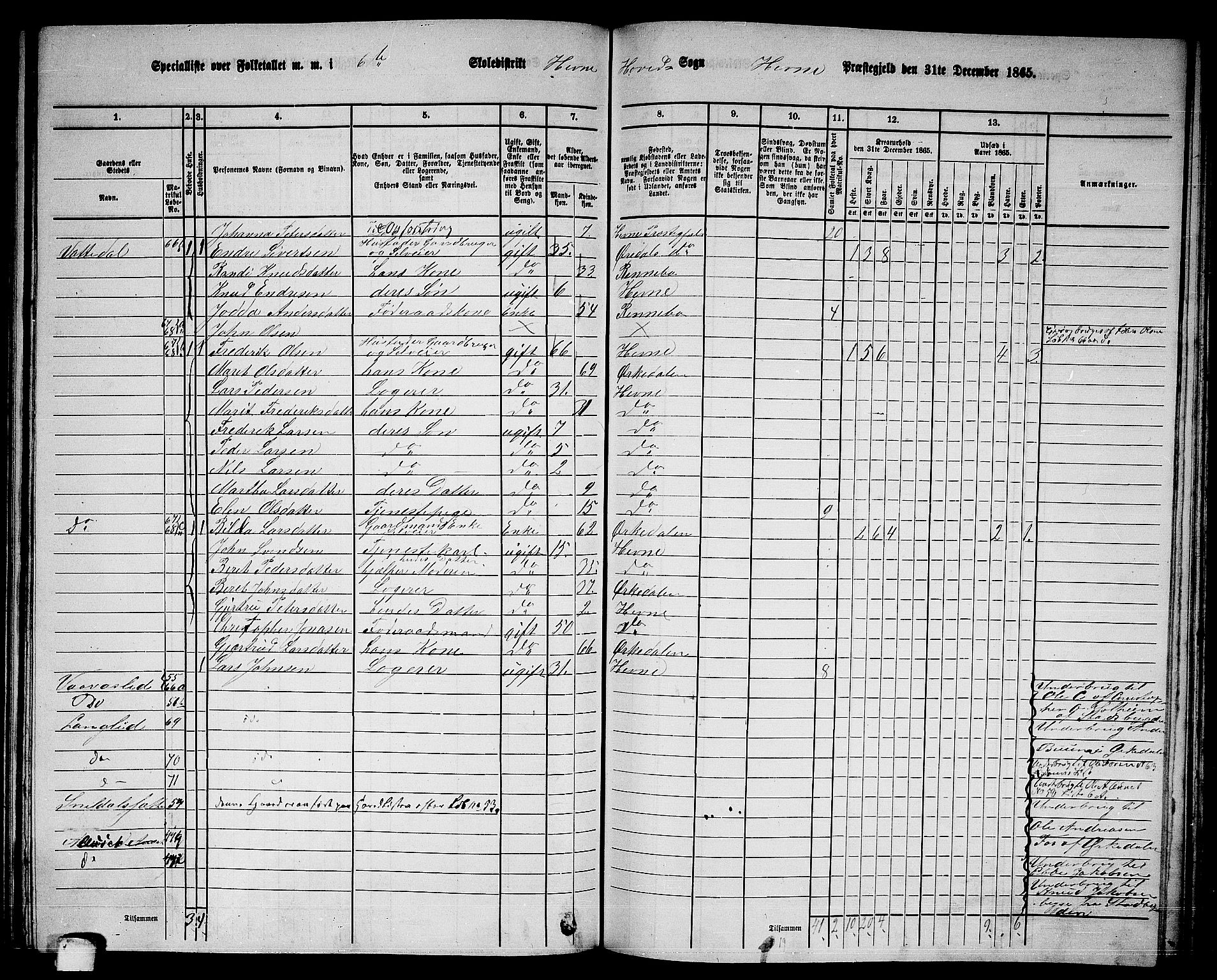 RA, 1865 census for Hemne, 1865, p. 142