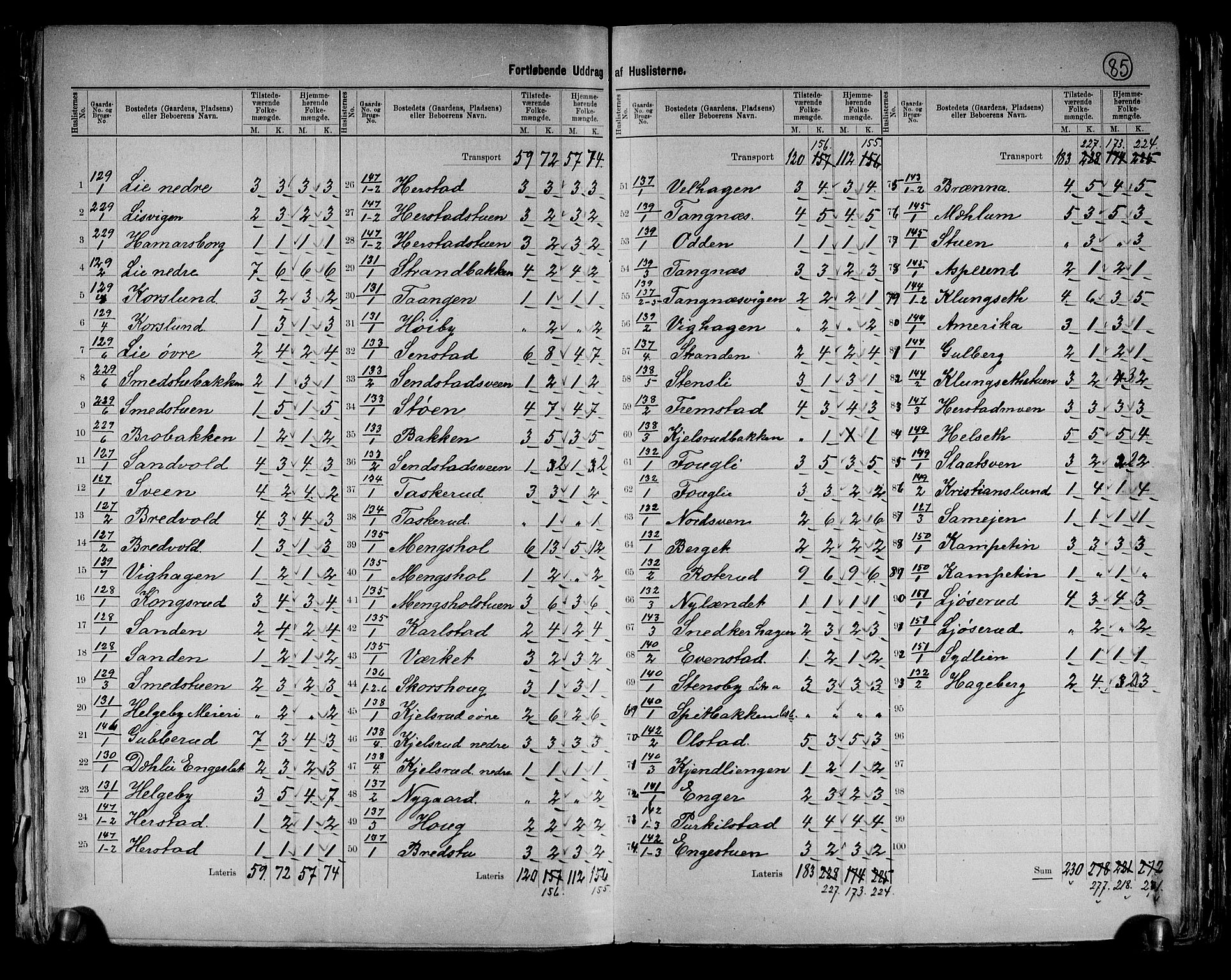 RA, 1891 census for 0411 Nes, 1891, p. 23