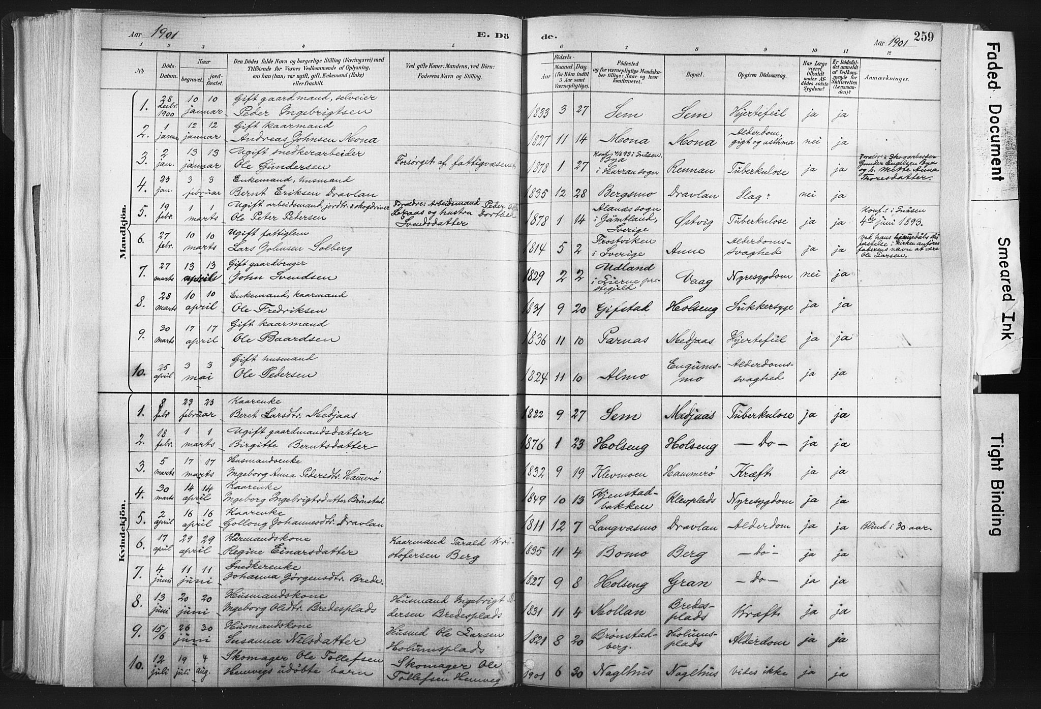 Ministerialprotokoller, klokkerbøker og fødselsregistre - Nord-Trøndelag, SAT/A-1458/749/L0474: Parish register (official) no. 749A08, 1887-1903, p. 259