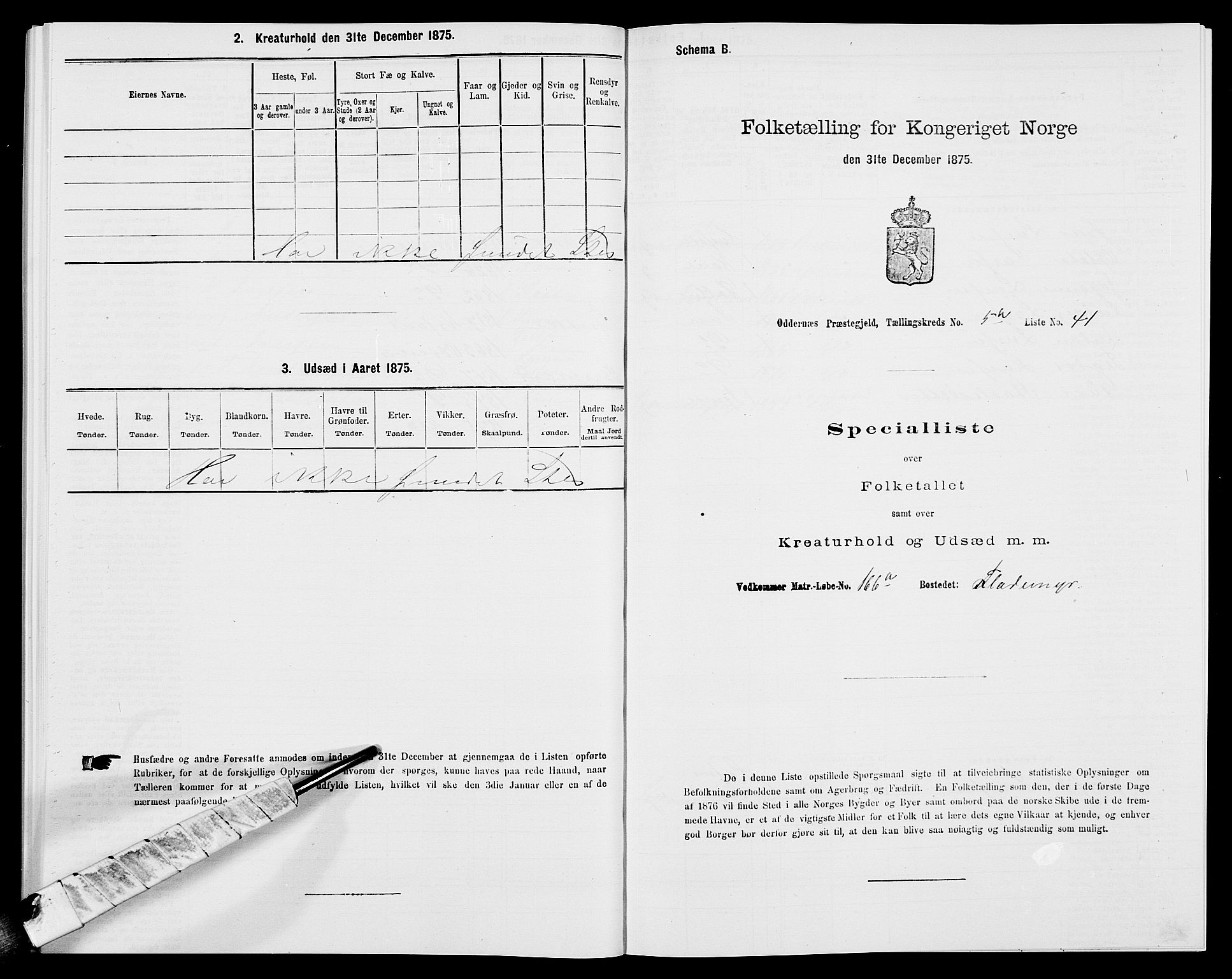 SAK, 1875 census for 1012P Oddernes, 1875, p. 805