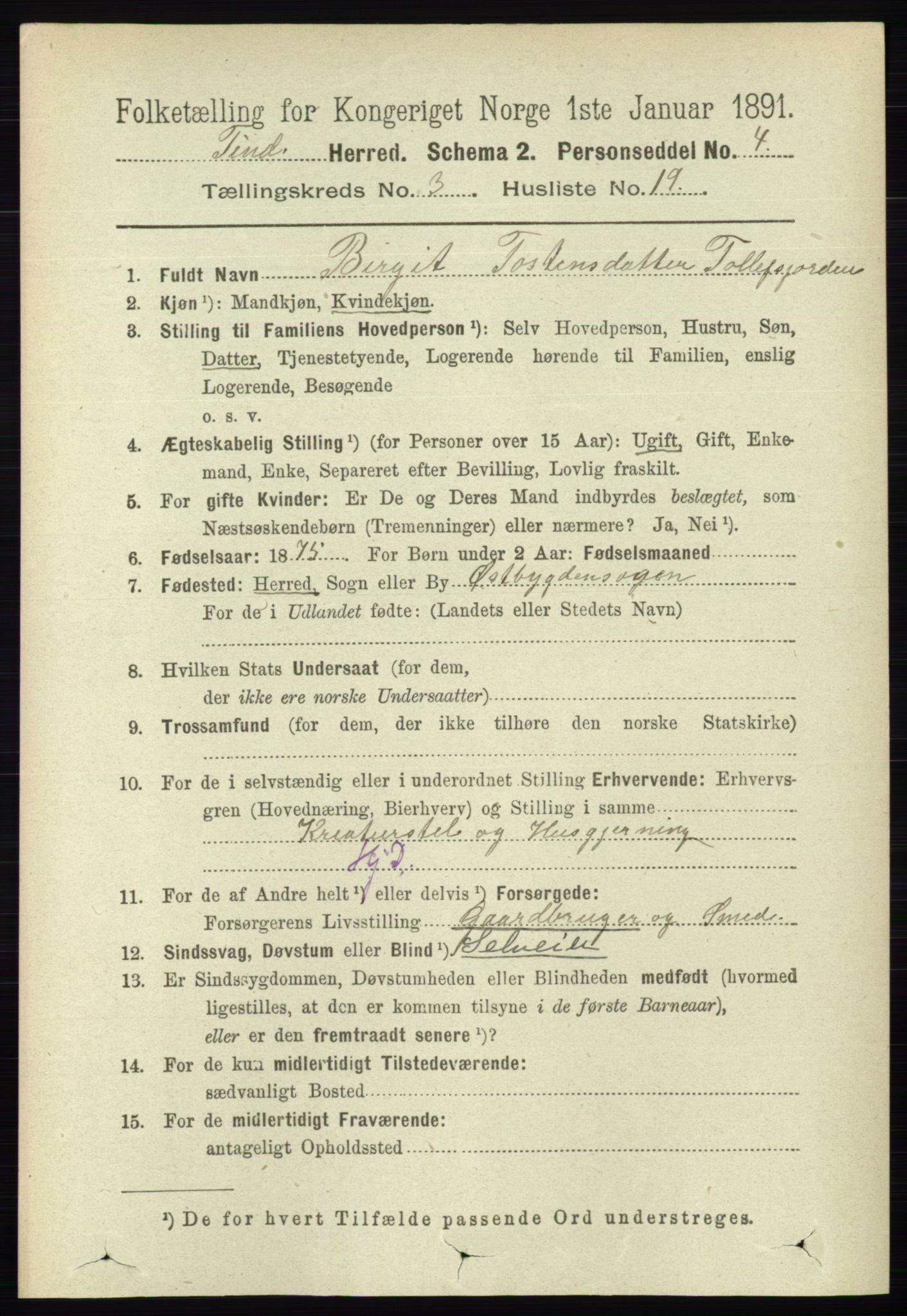 RA, 1891 census for 0826 Tinn, 1891, p. 602