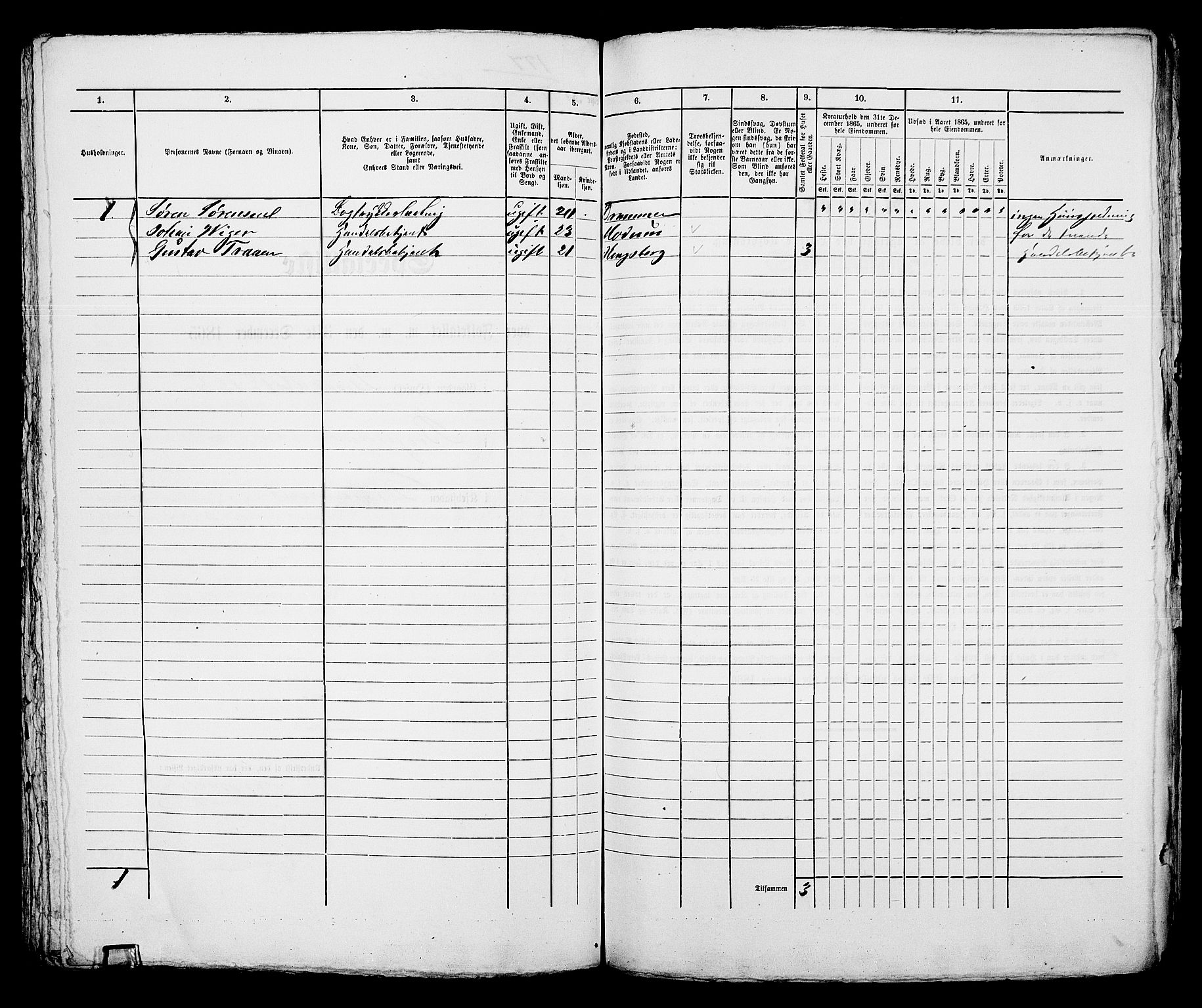 RA, 1865 census for Bragernes in Drammen, 1865, p. 381