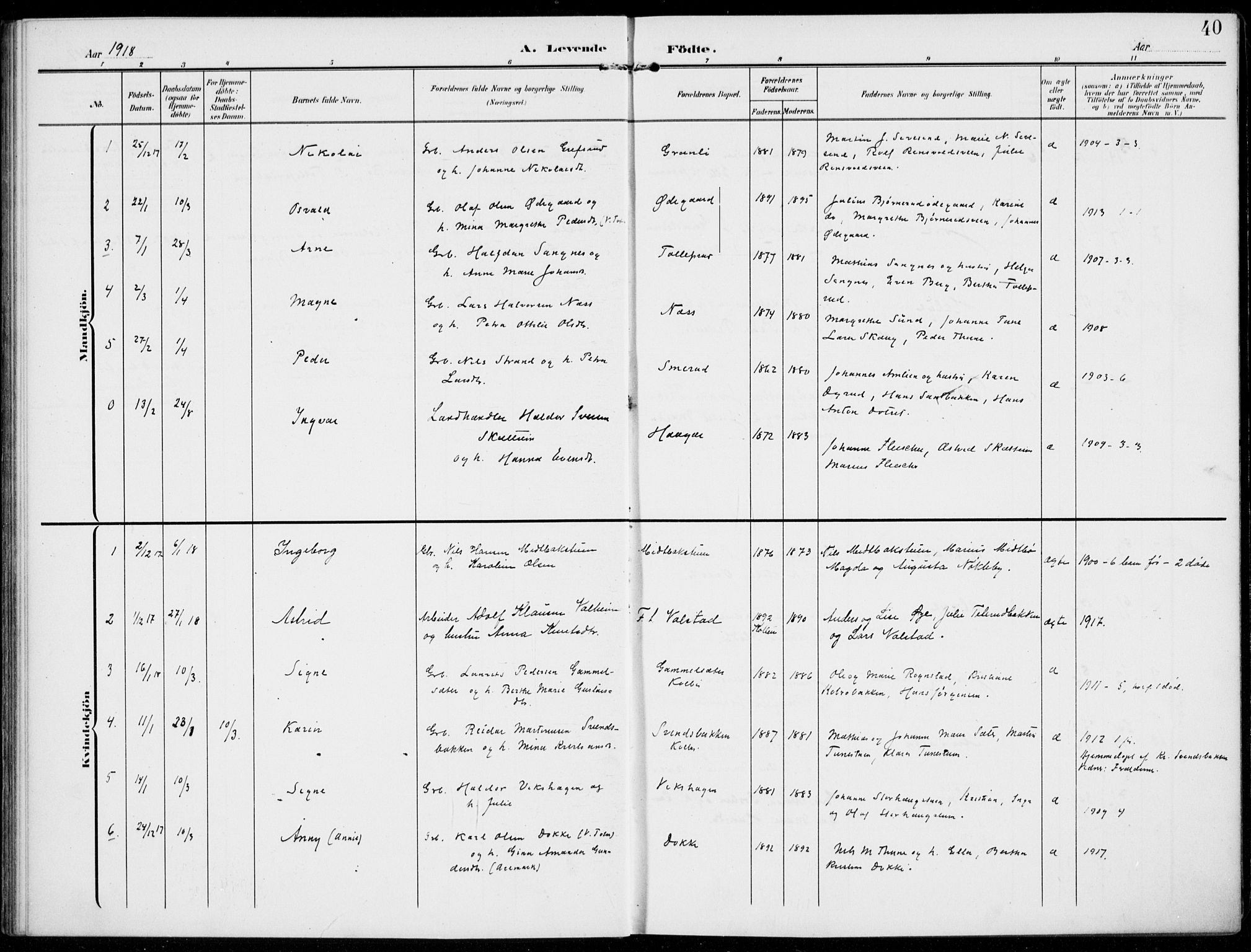 Kolbu prestekontor, SAH/PREST-110/H/Ha/Haa/L0001: Parish register (official) no. 1, 1907-1923, p. 40