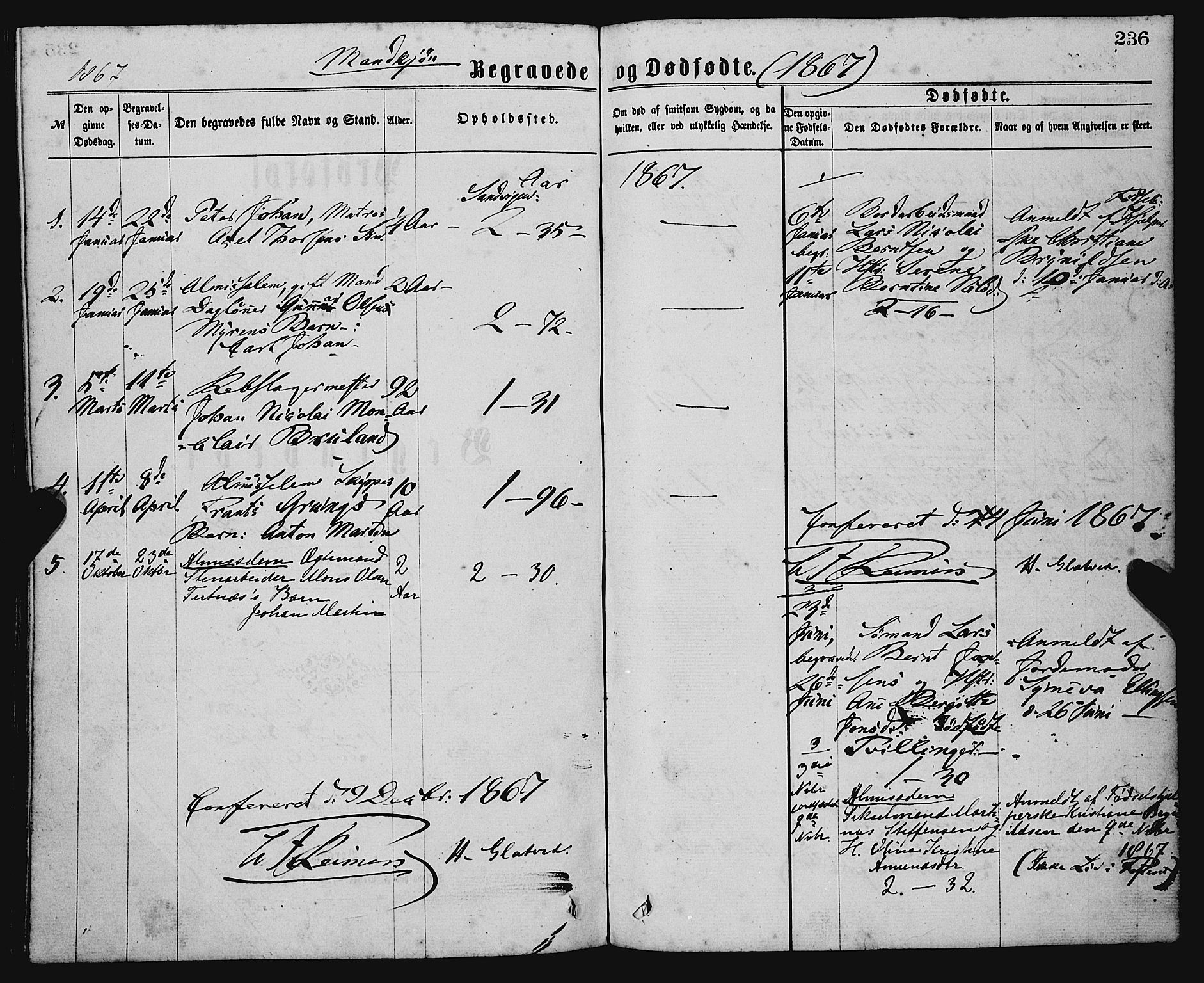 Sandviken Sokneprestembete, SAB/A-77601/H/Ha/L0001: Parish register (official) no. A 1, 1867-1877, p. 236