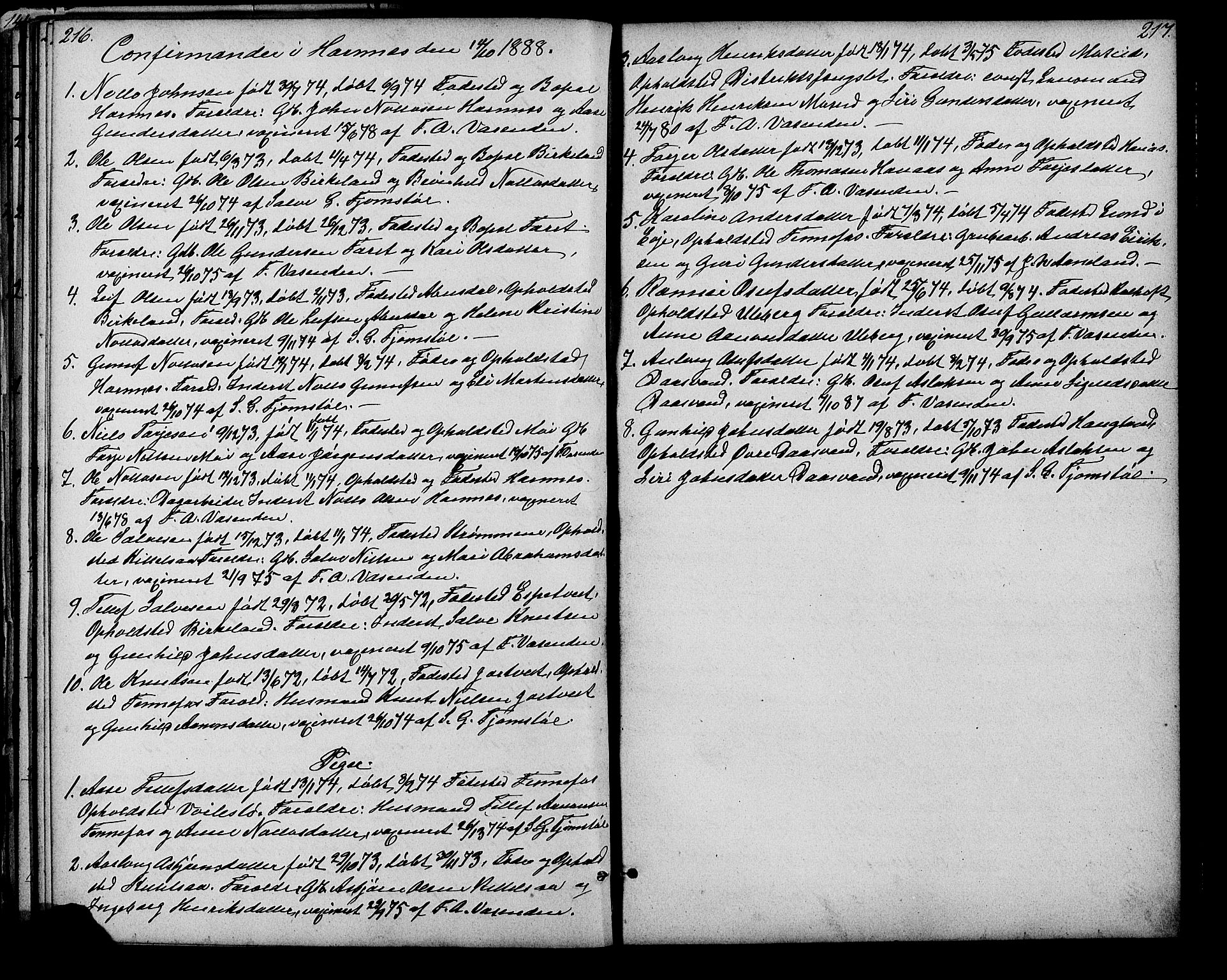 Evje sokneprestkontor, SAK/1111-0008/F/Fb/Fbb/L0002: Parish register (copy) no. B 2, 1879-1909, p. 216-217