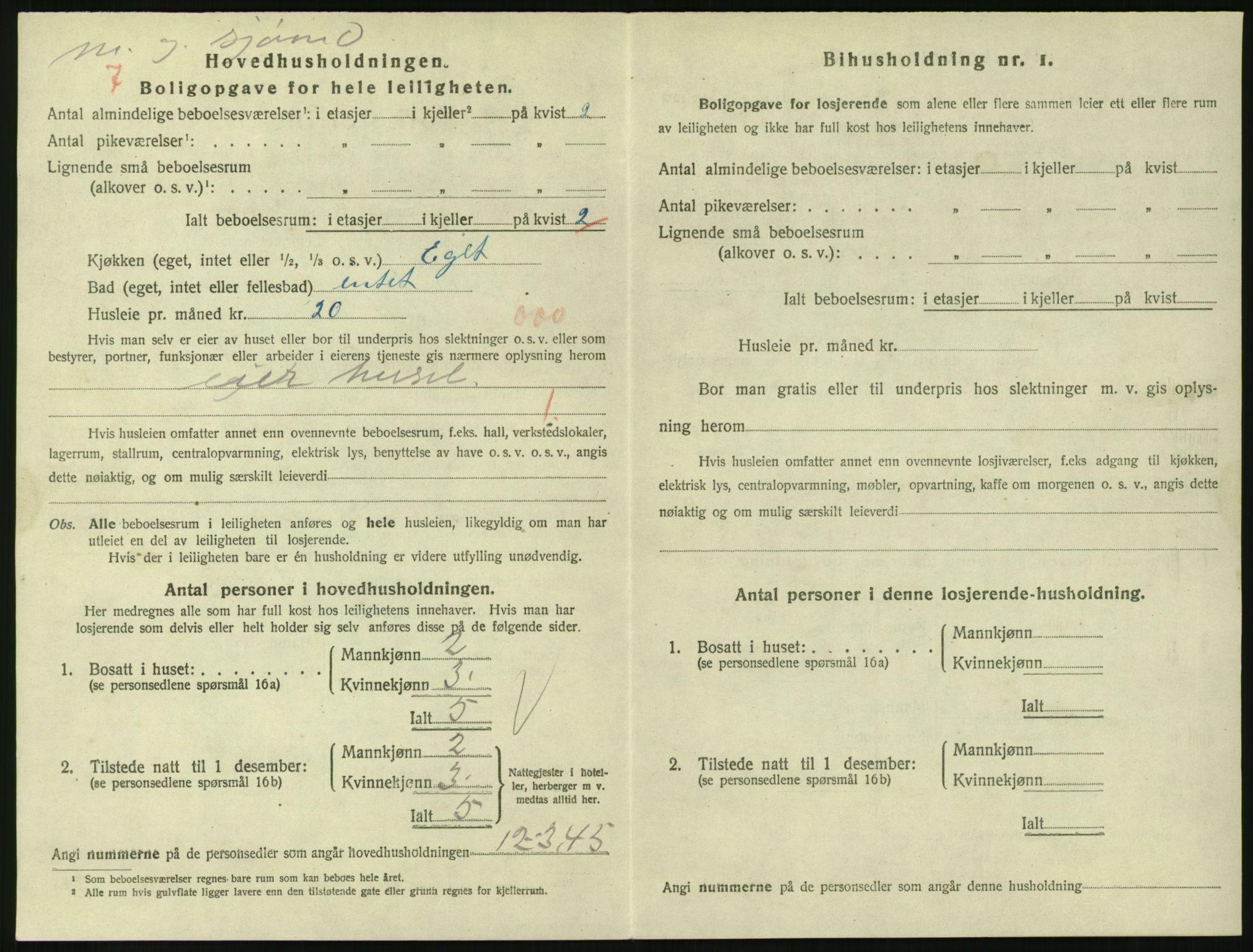 SAKO, 1920 census for Larvik, 1920, p. 3519