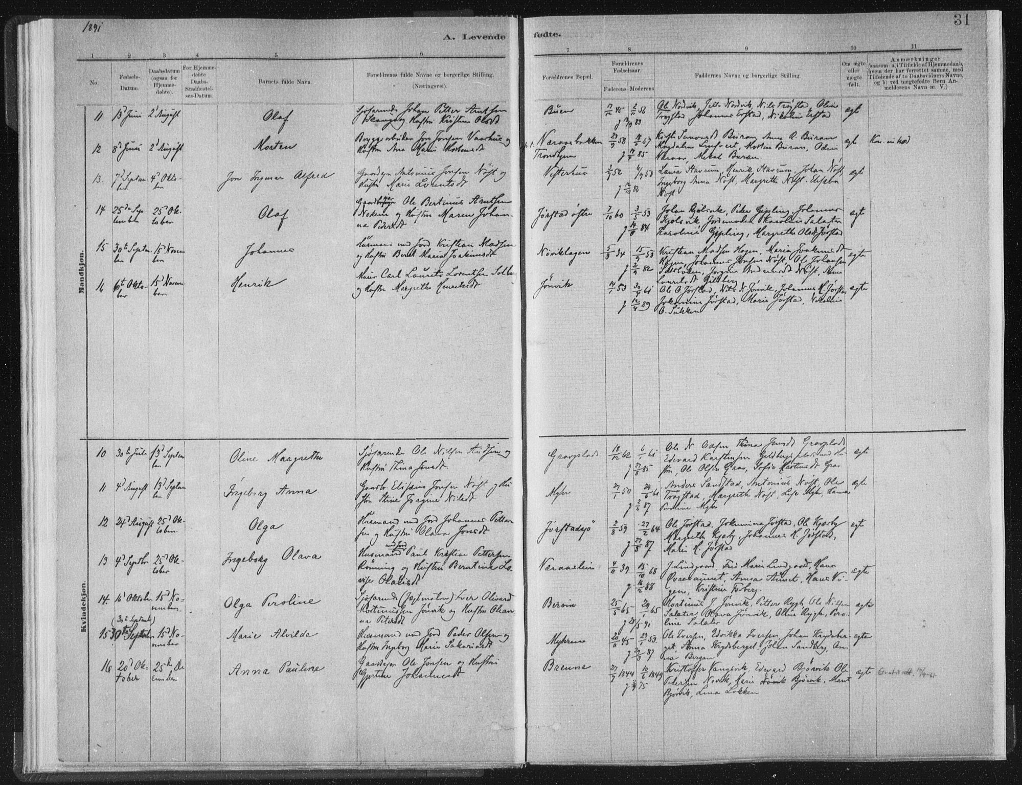 Ministerialprotokoller, klokkerbøker og fødselsregistre - Nord-Trøndelag, SAT/A-1458/722/L0220: Parish register (official) no. 722A07, 1881-1908, p. 31