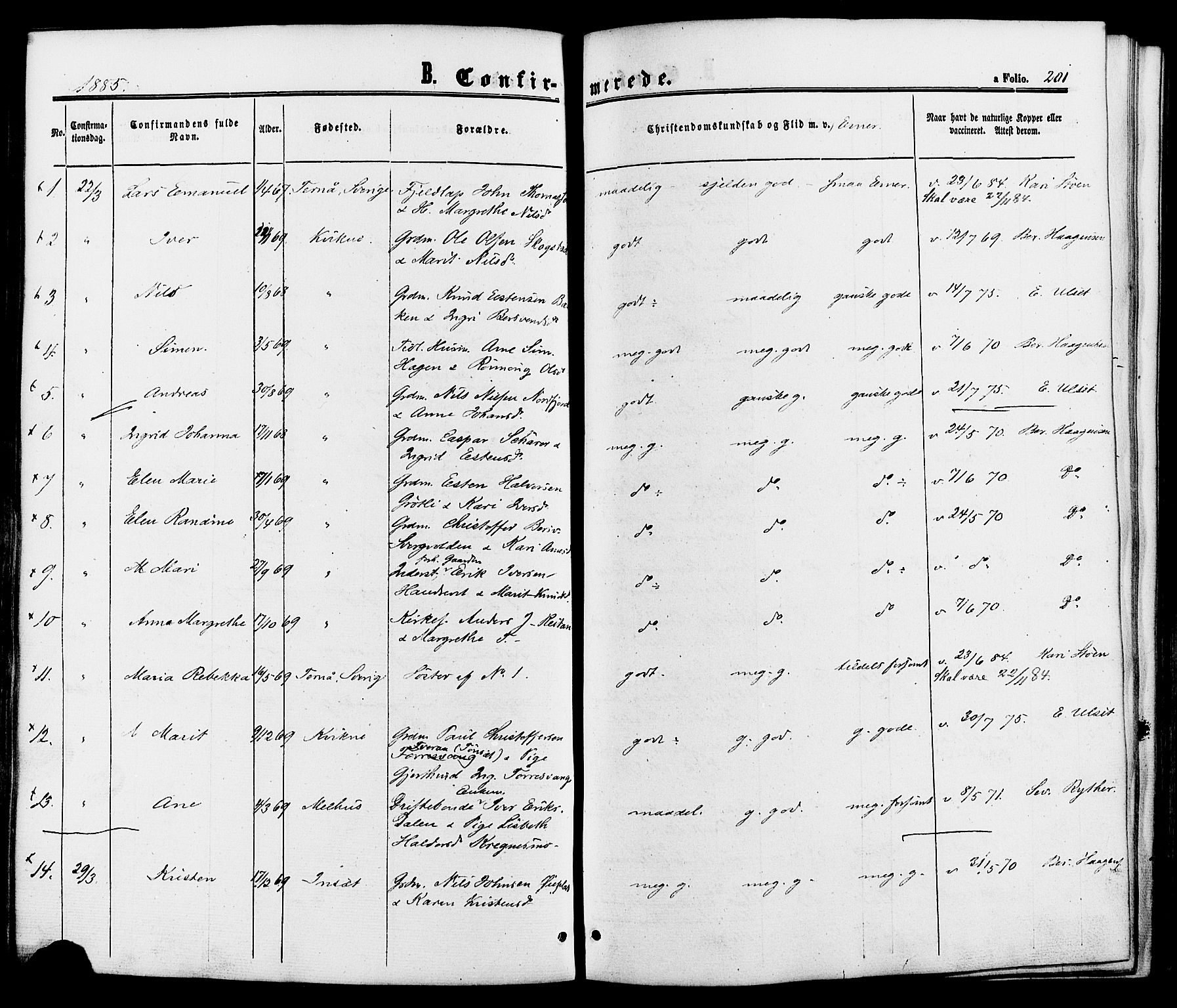 Kvikne prestekontor, SAH/PREST-064/H/Ha/Haa/L0006: Parish register (official) no. 6, 1863-1886, p. 201