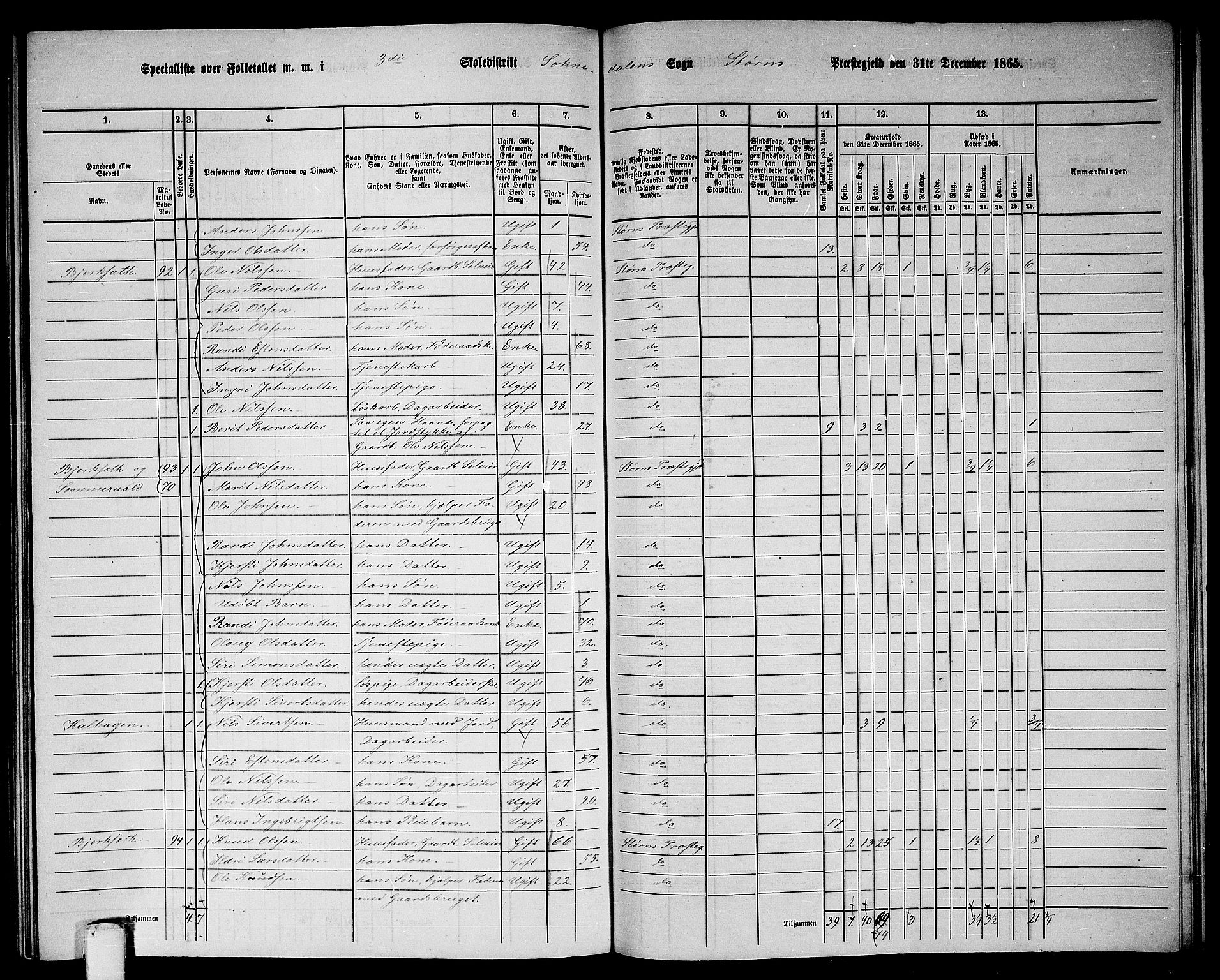 RA, 1865 census for Støren, 1865, p. 264