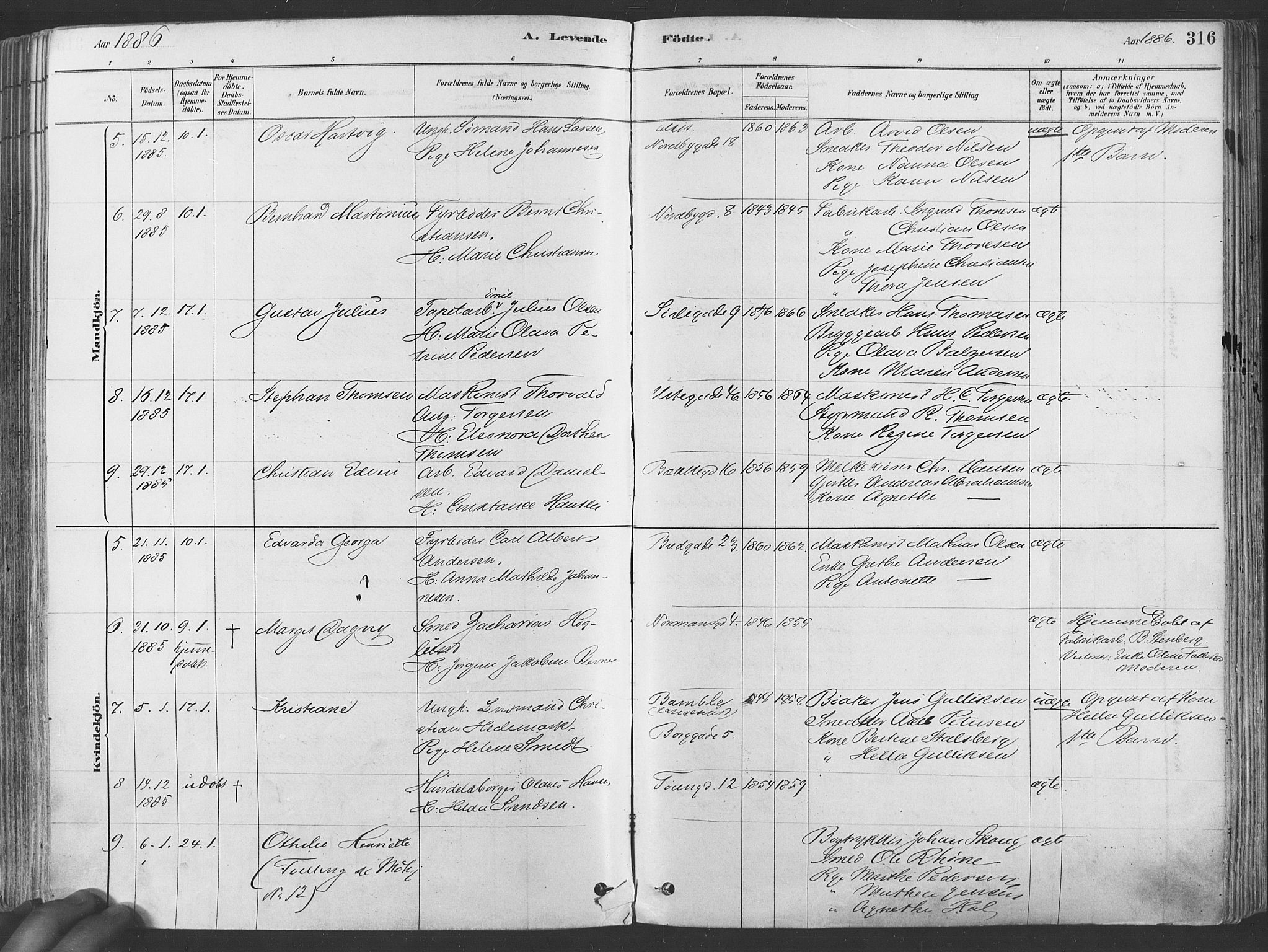 Grønland prestekontor Kirkebøker, AV/SAO-A-10848/F/Fa/L0007: Parish register (official) no. 7, 1878-1888, p. 316