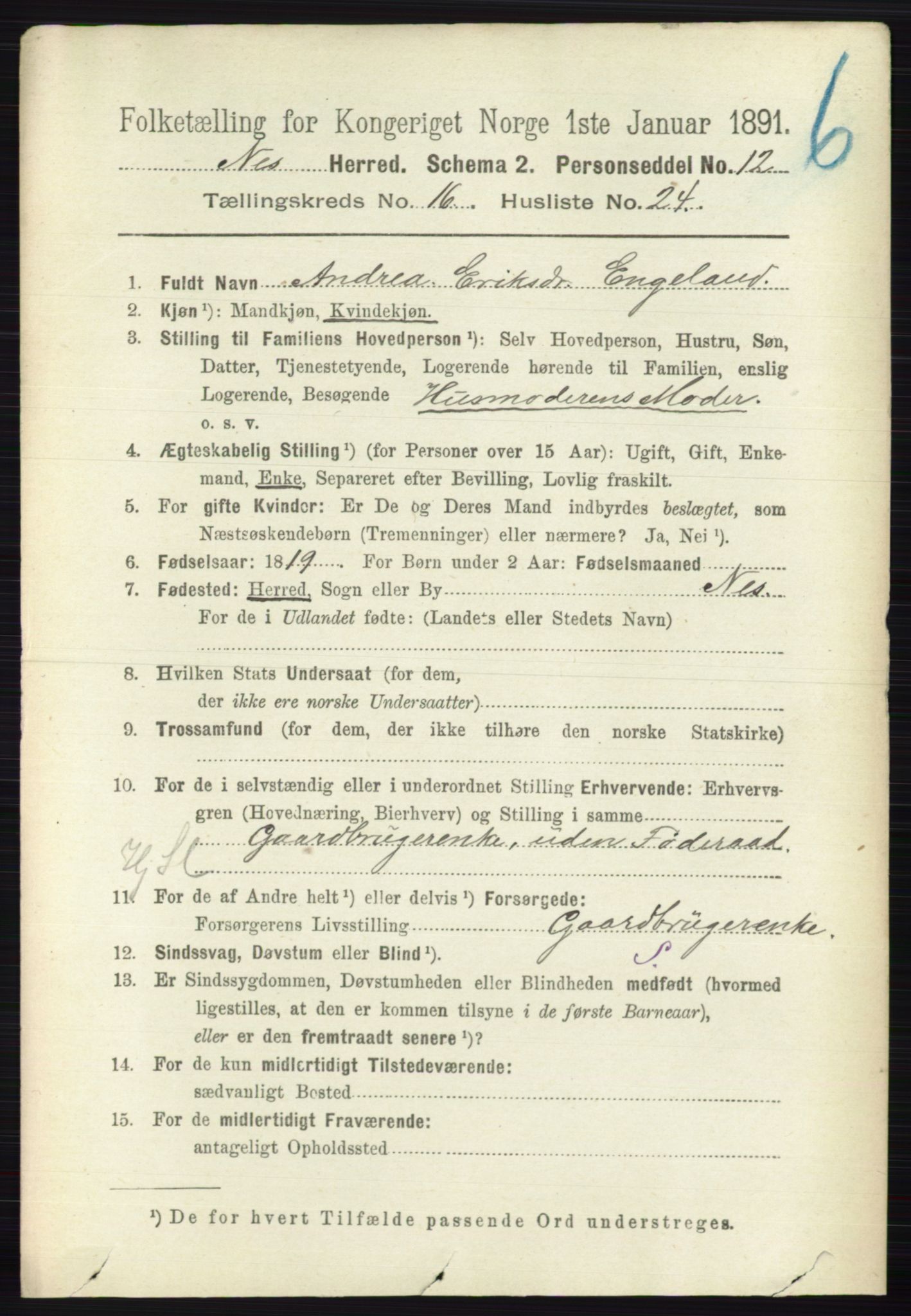 RA, 1891 census for 0236 Nes, 1891, p. 9693
