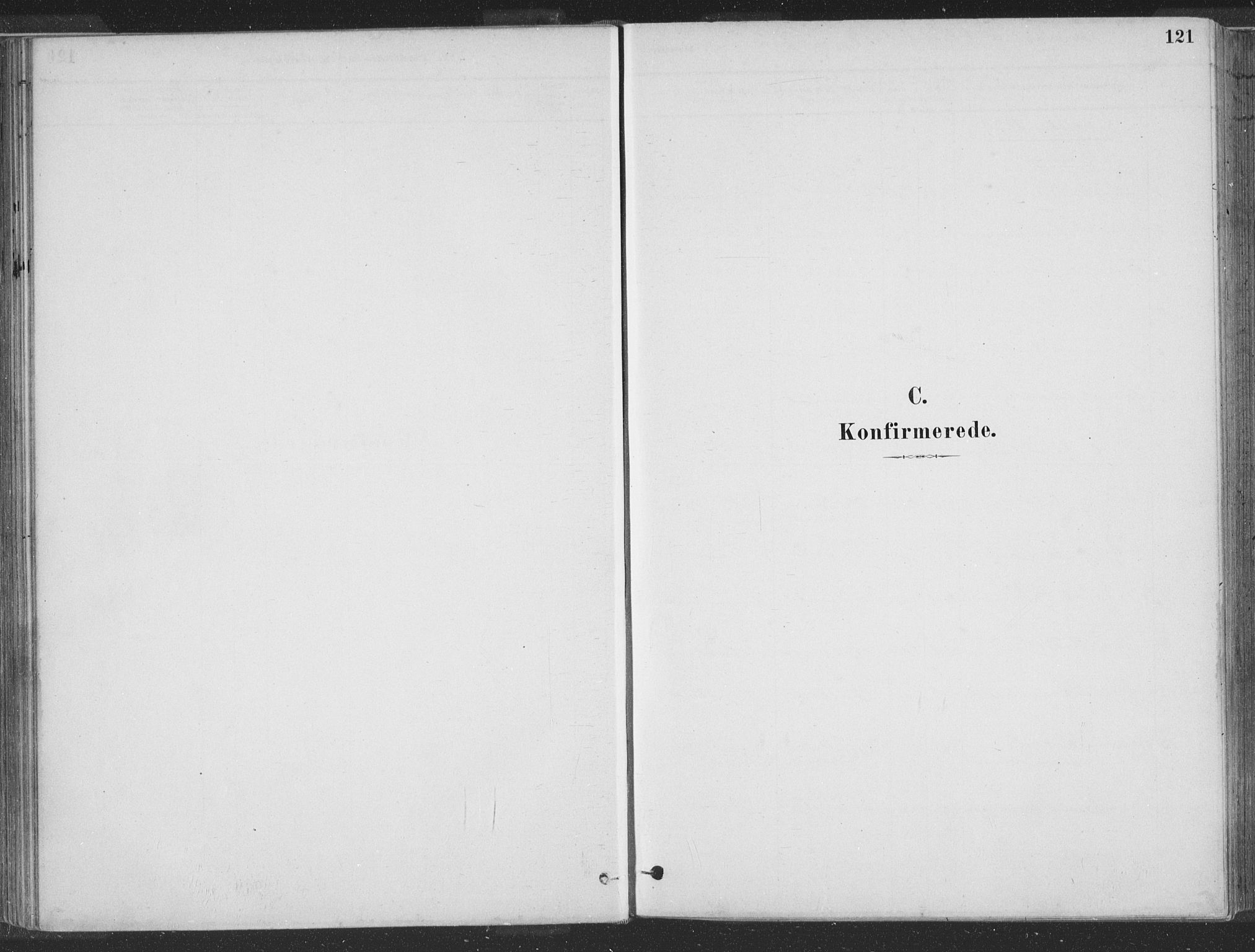 Hå sokneprestkontor, SAST/A-101801/001/30BA/L0010: Parish register (official) no. A 9, 1879-1896, p. 121