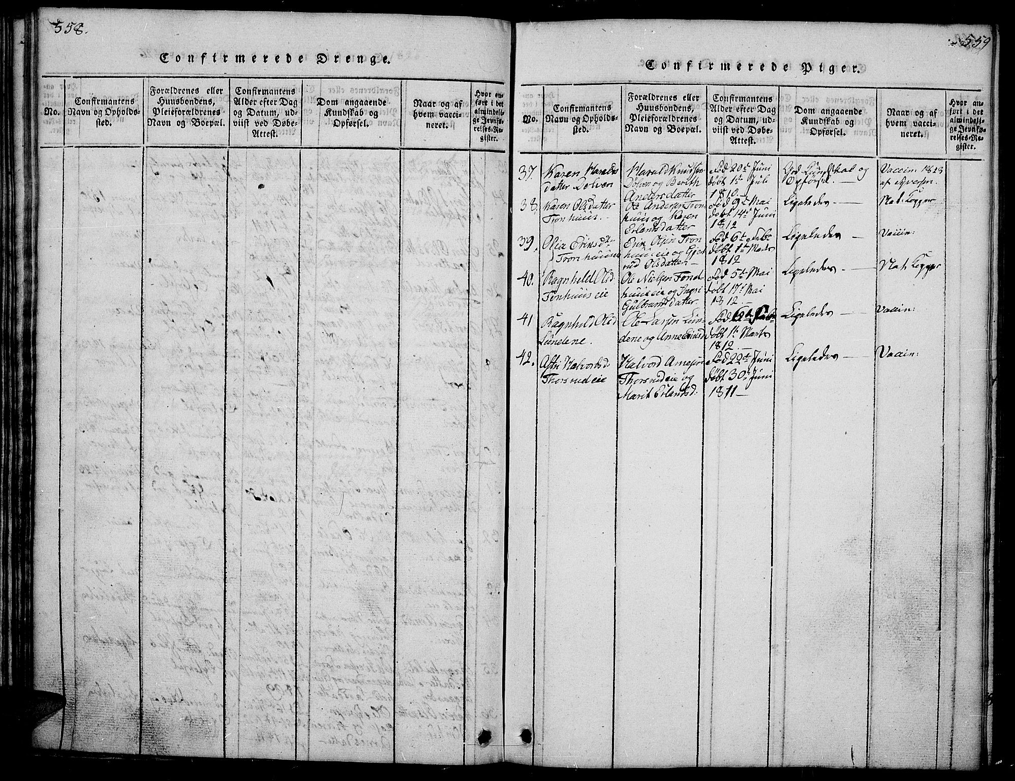 Sør-Aurdal prestekontor, SAH/PREST-128/H/Ha/Hab/L0001: Parish register (copy) no. 1, 1815-1826, p. 558-559