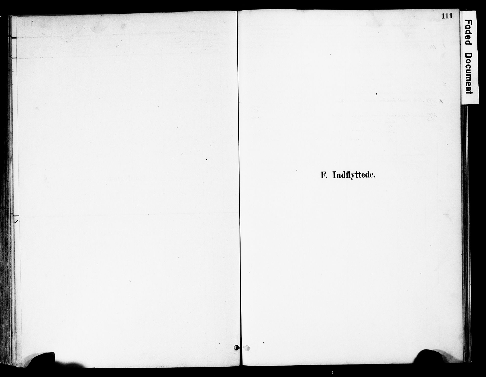 Vestre Slidre prestekontor, SAH/PREST-136/H/Ha/Haa/L0005: Parish register (official) no. 5, 1881-1912, p. 111