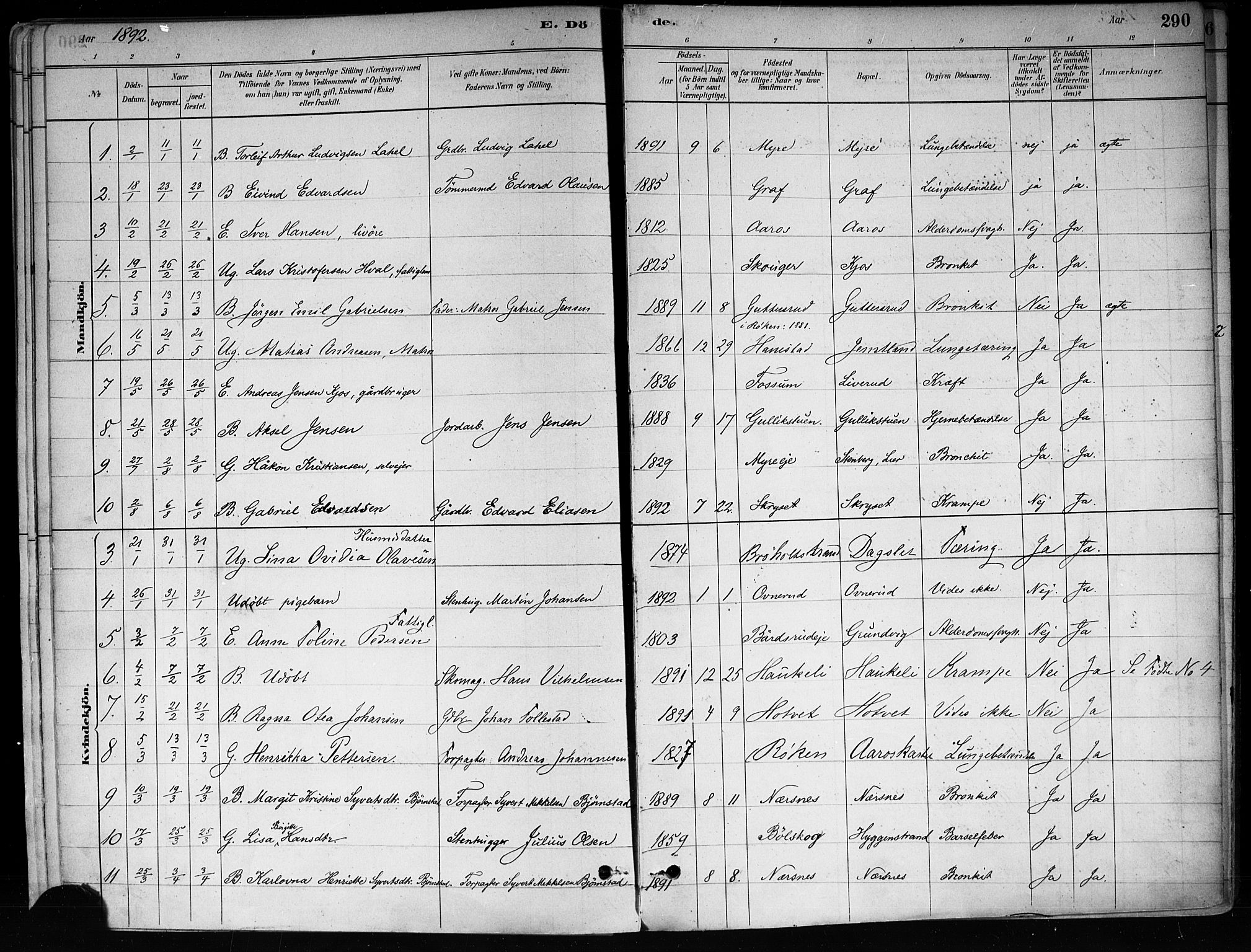 Røyken kirkebøker, SAKO/A-241/F/Fa/L0008: Parish register (official) no. 8, 1880-1897, p. 290