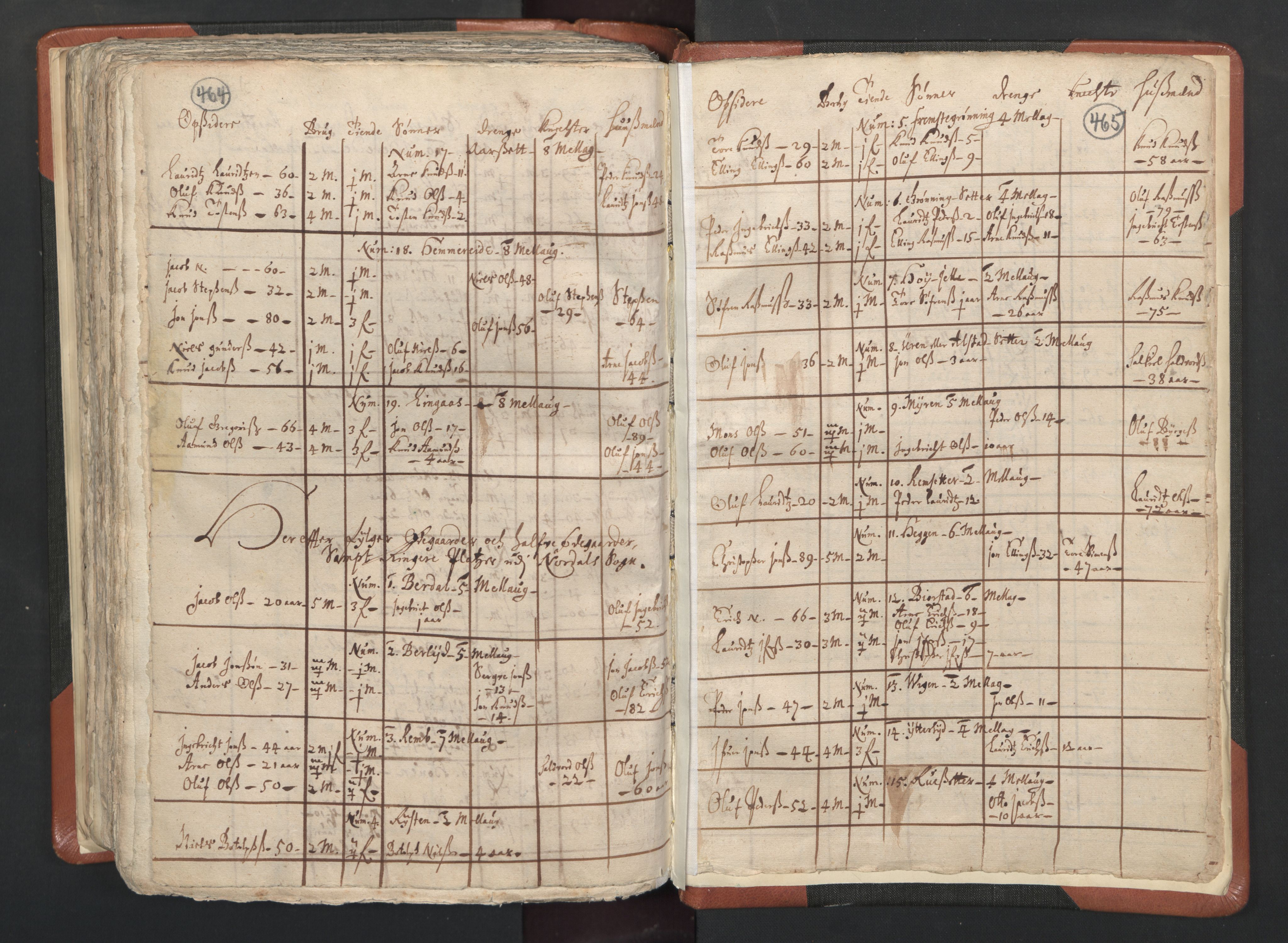 RA, Vicar's Census 1664-1666, no. 26: Sunnmøre deanery, 1664-1666, p. 464-465