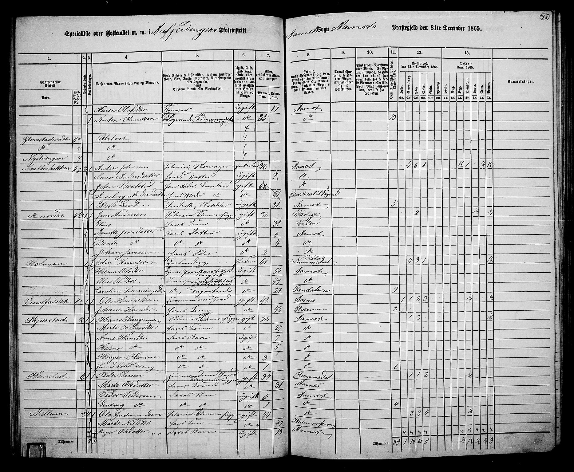 RA, 1865 census for Åmot, 1865, p. 70