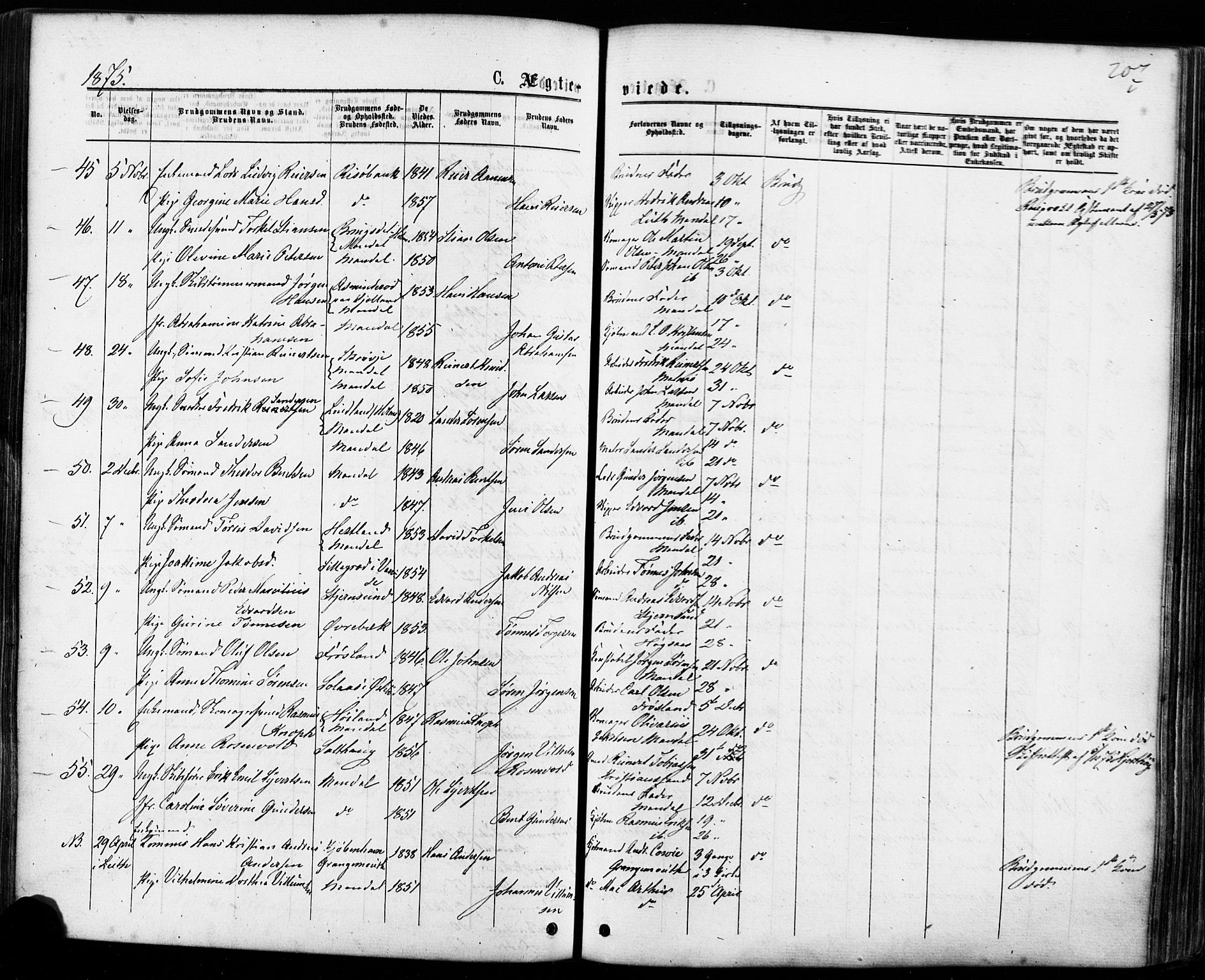 Mandal sokneprestkontor, AV/SAK-1111-0030/F/Fa/Faa/L0015: Parish register (official) no. A 15, 1873-1879, p. 207