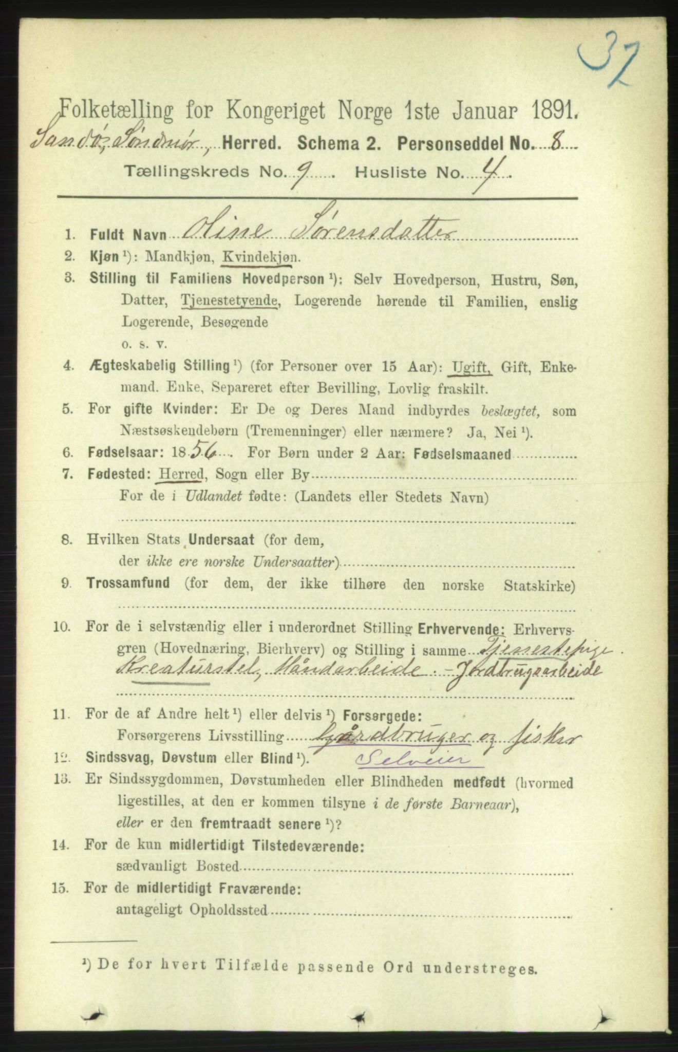 RA, 1891 census for 1514 Sande, 1891, p. 1520