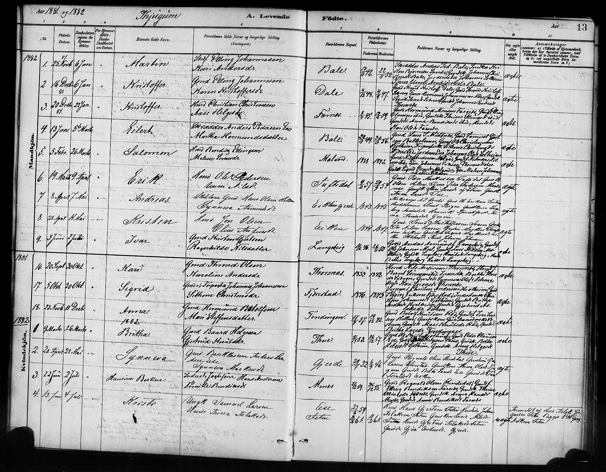 Balestrand sokneprestembete, AV/SAB-A-79601/H/Haa/Haaa/L0004: Parish register (official) no. A 4 / 1, 1879-1888, p. 13