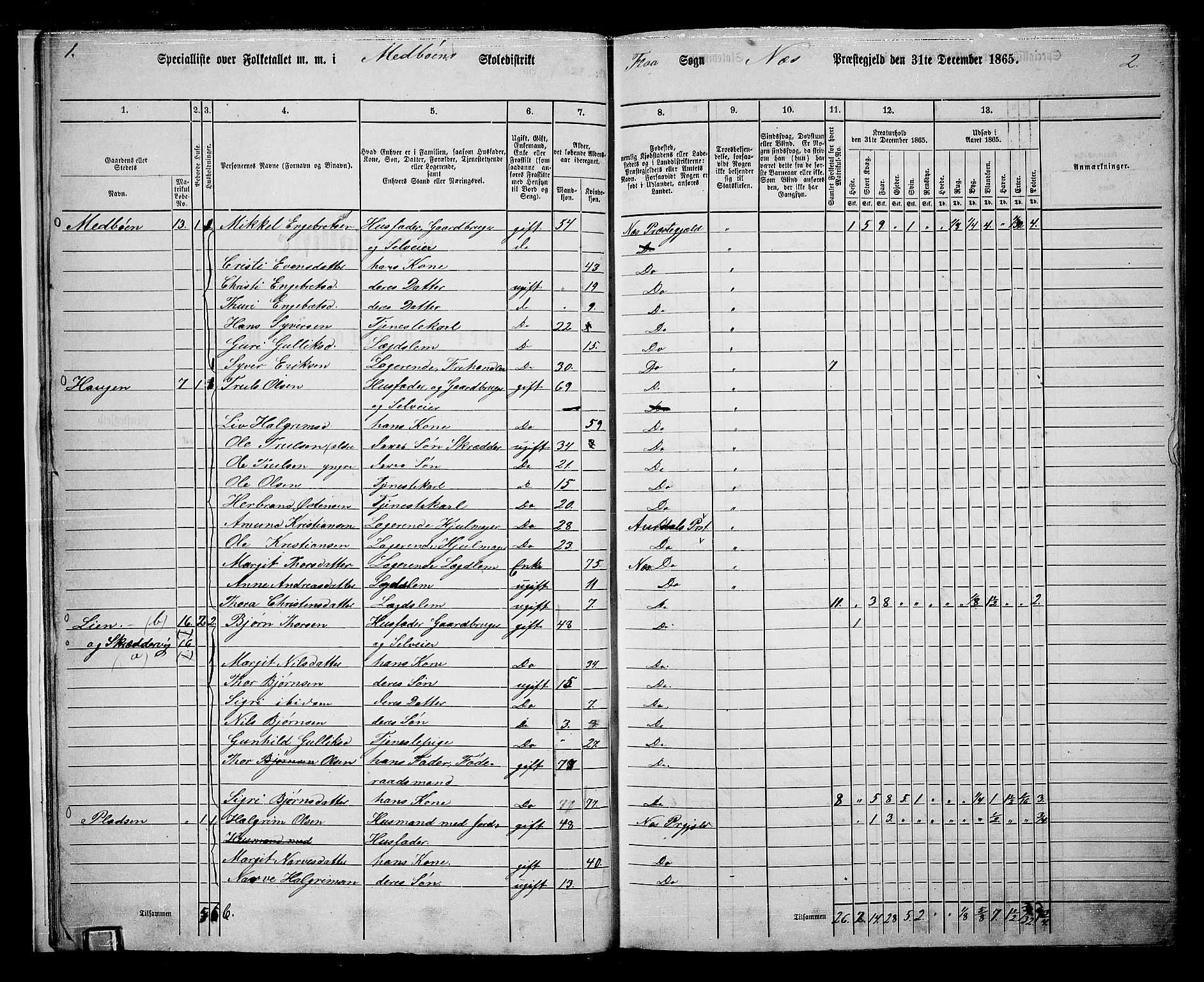 RA, 1865 census for Nes, 1865, p. 17