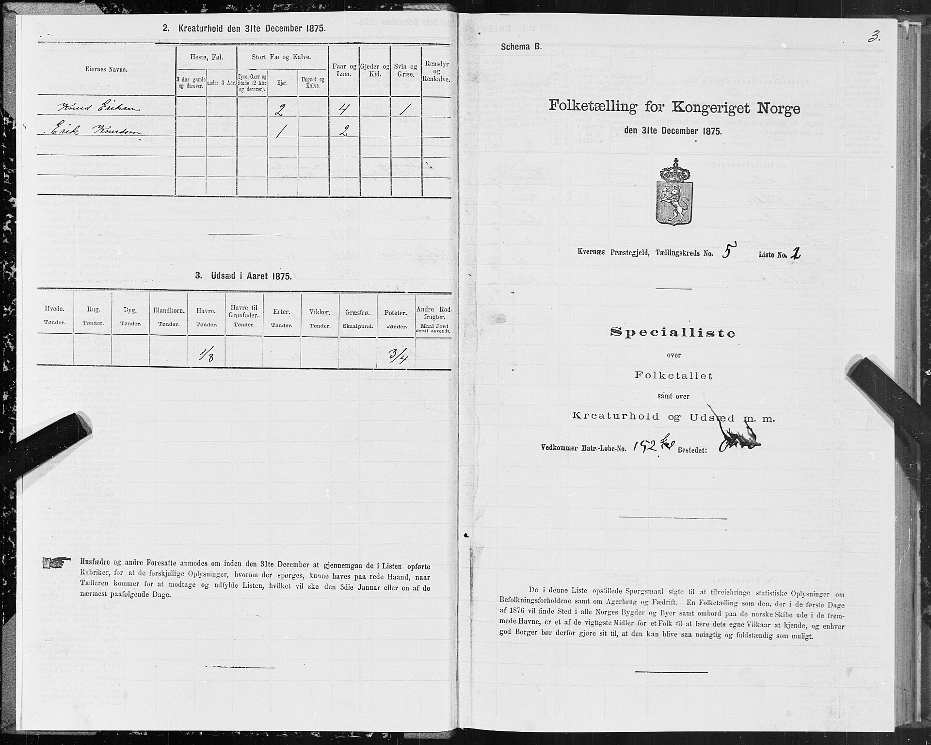 SAT, 1875 census for 1553P Kvernes, 1875, p. 3003