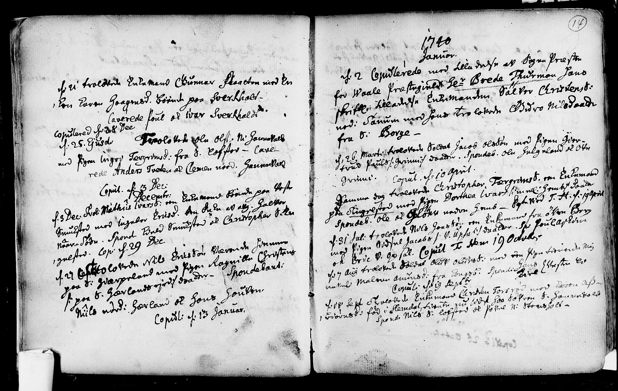 Lardal kirkebøker, SAKO/A-350/F/Fa/L0004: Parish register (official) no. i 4, 1733-1815, p. 14