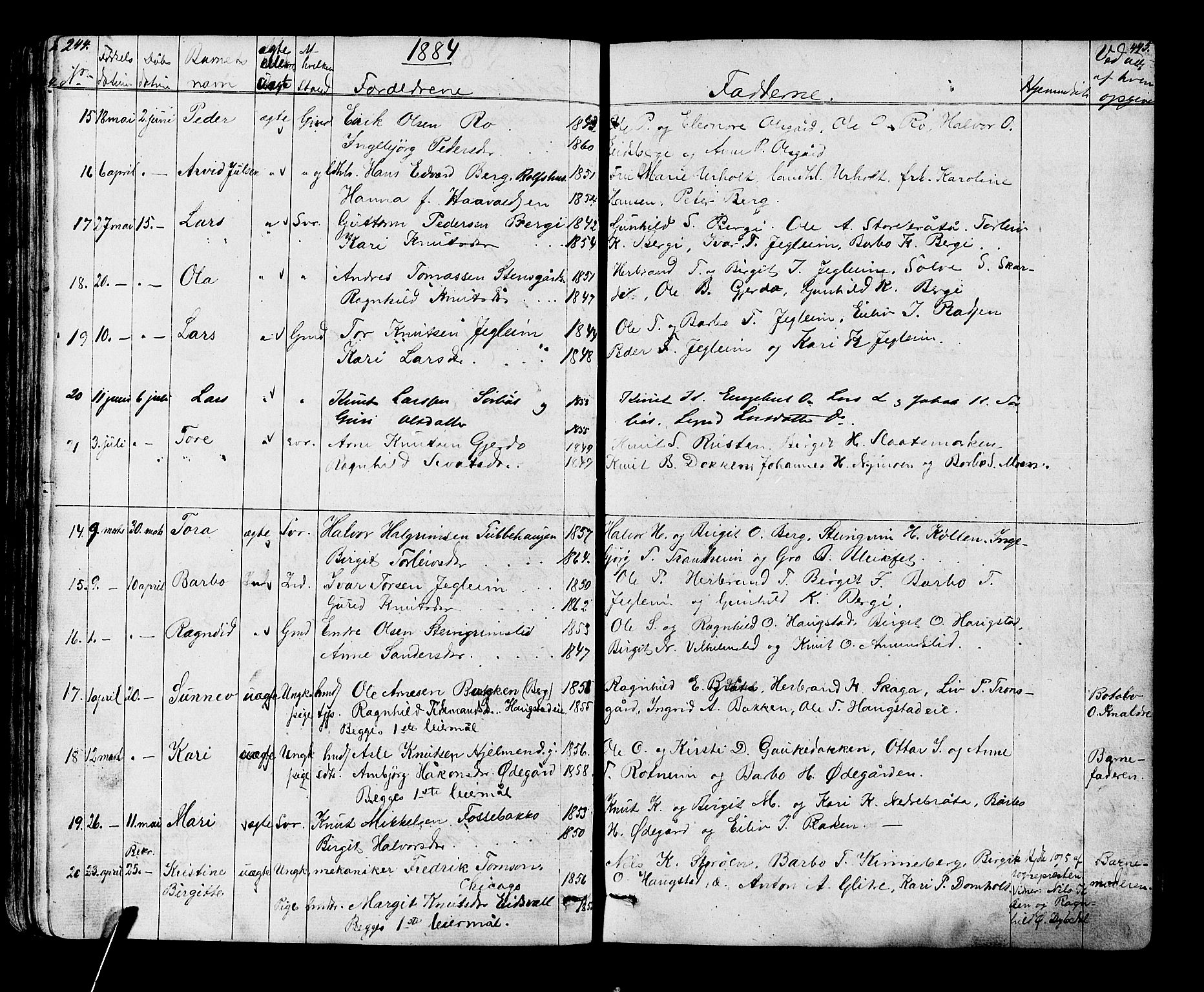 Gol kirkebøker, AV/SAKO-A-226/G/Ga/L0002: Parish register (copy) no. I 2, 1860-1887, p. 244-245